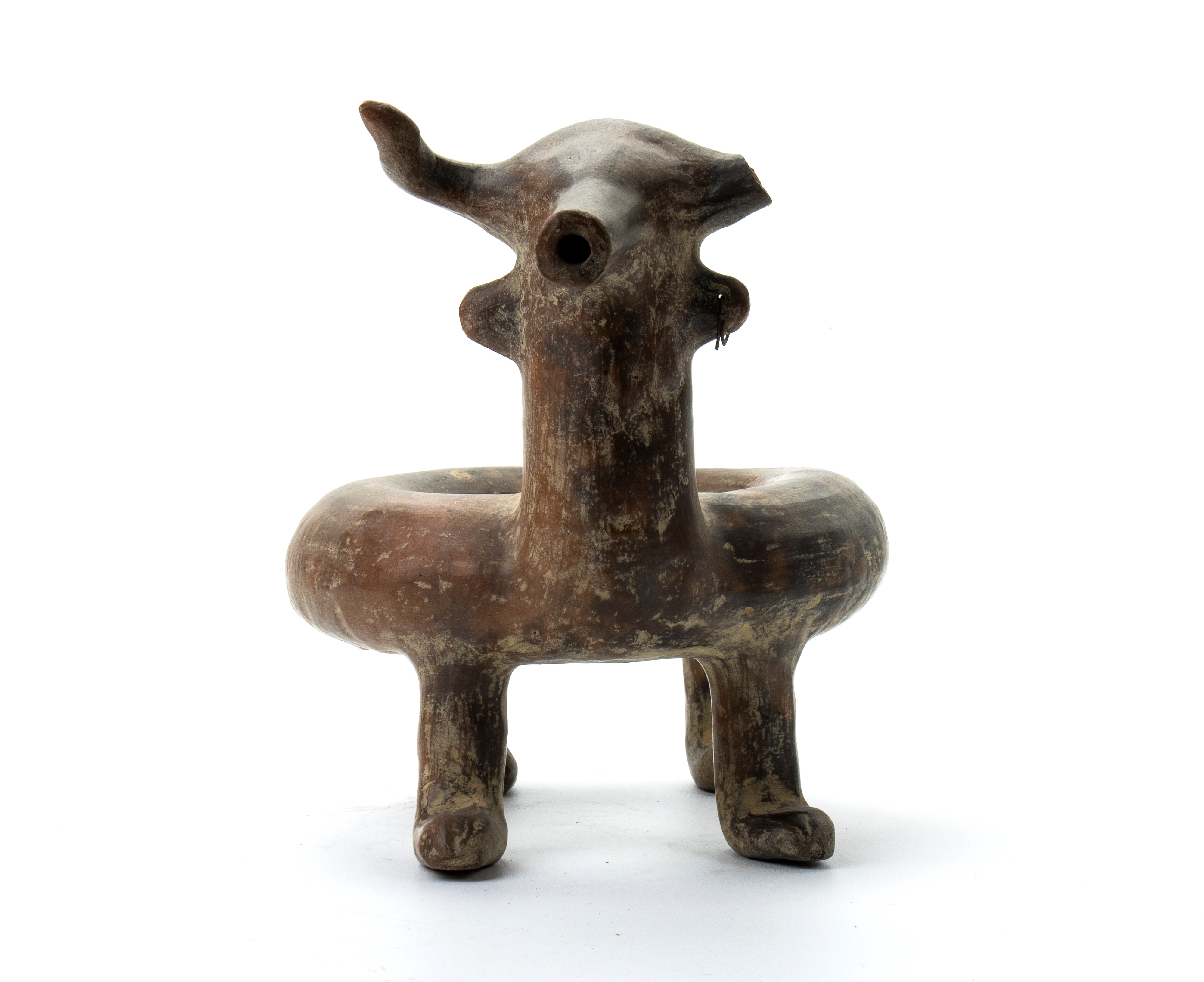 Askos zoomorfo in terracotta