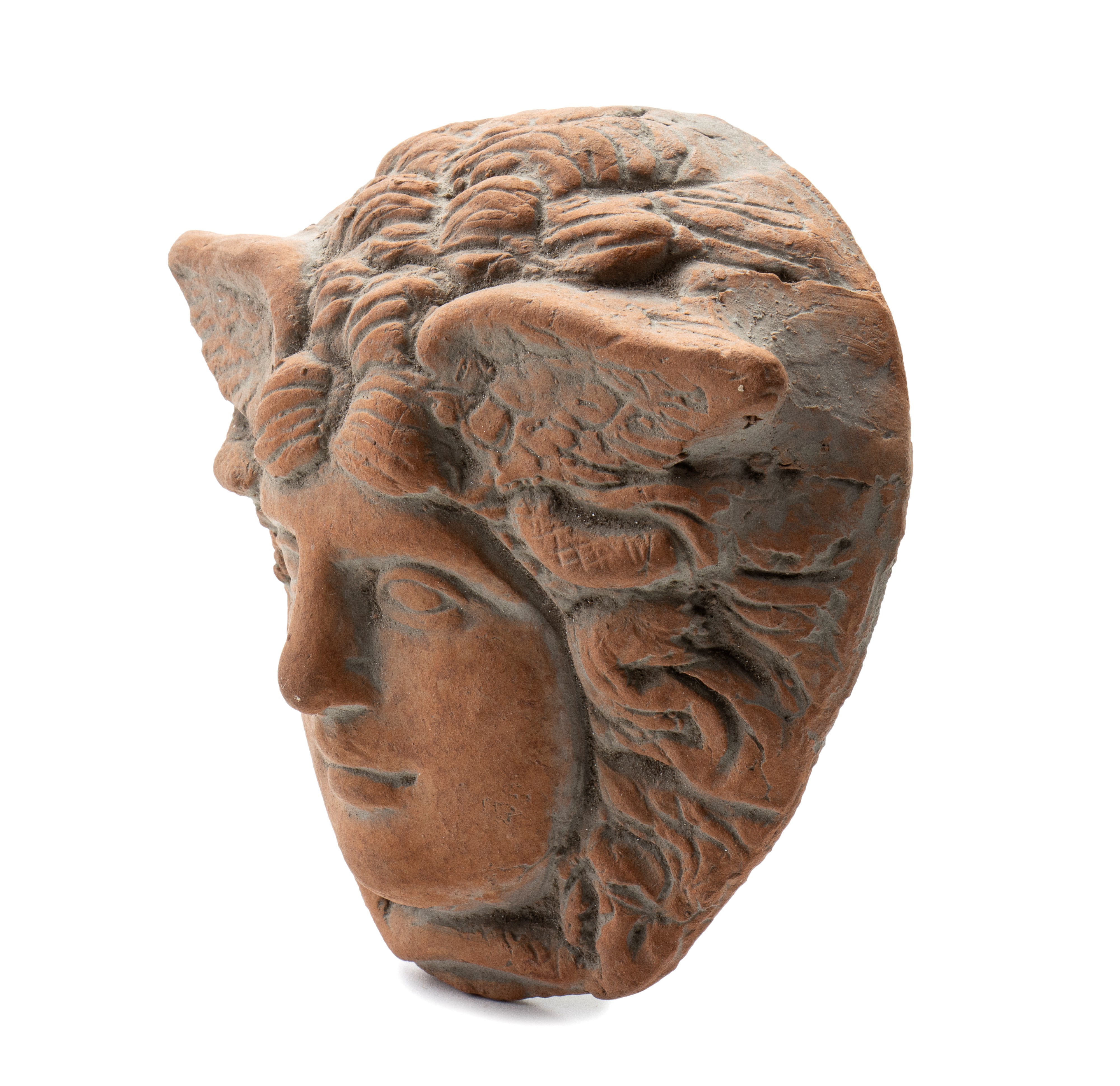 Medusa in terracotta