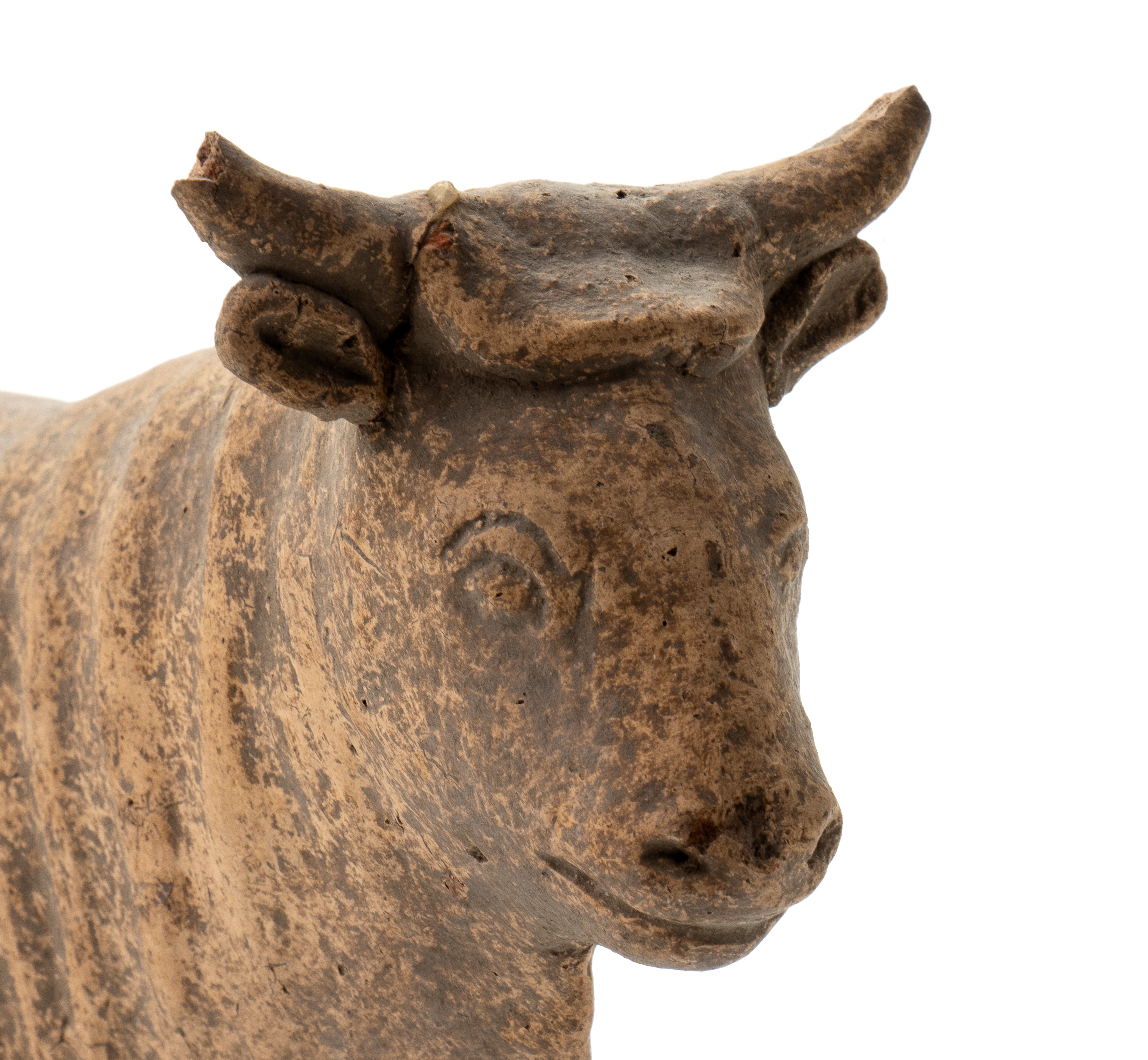 Scultura in terracotta raffigurante un bovino