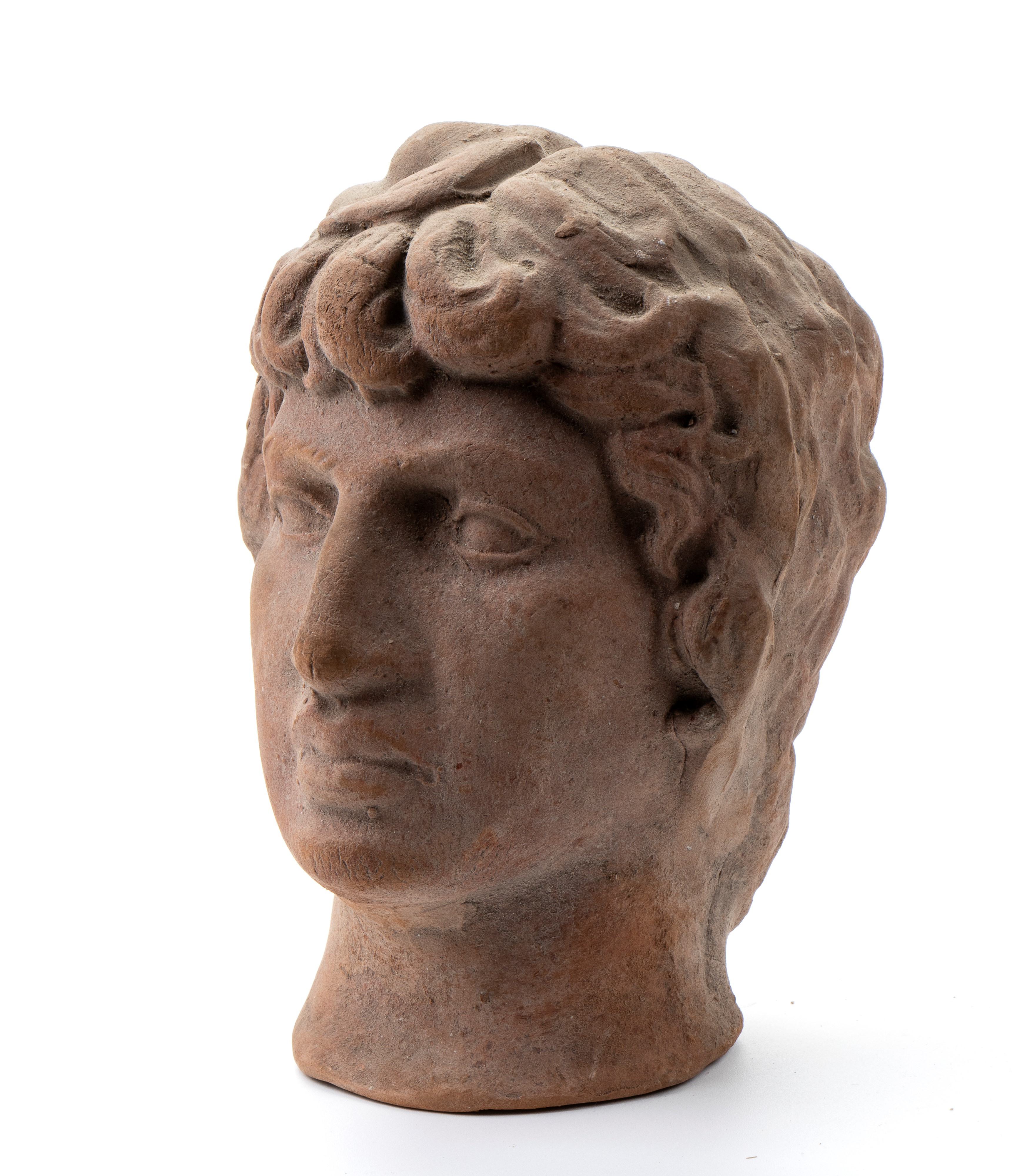 Testa di donna in terracotta