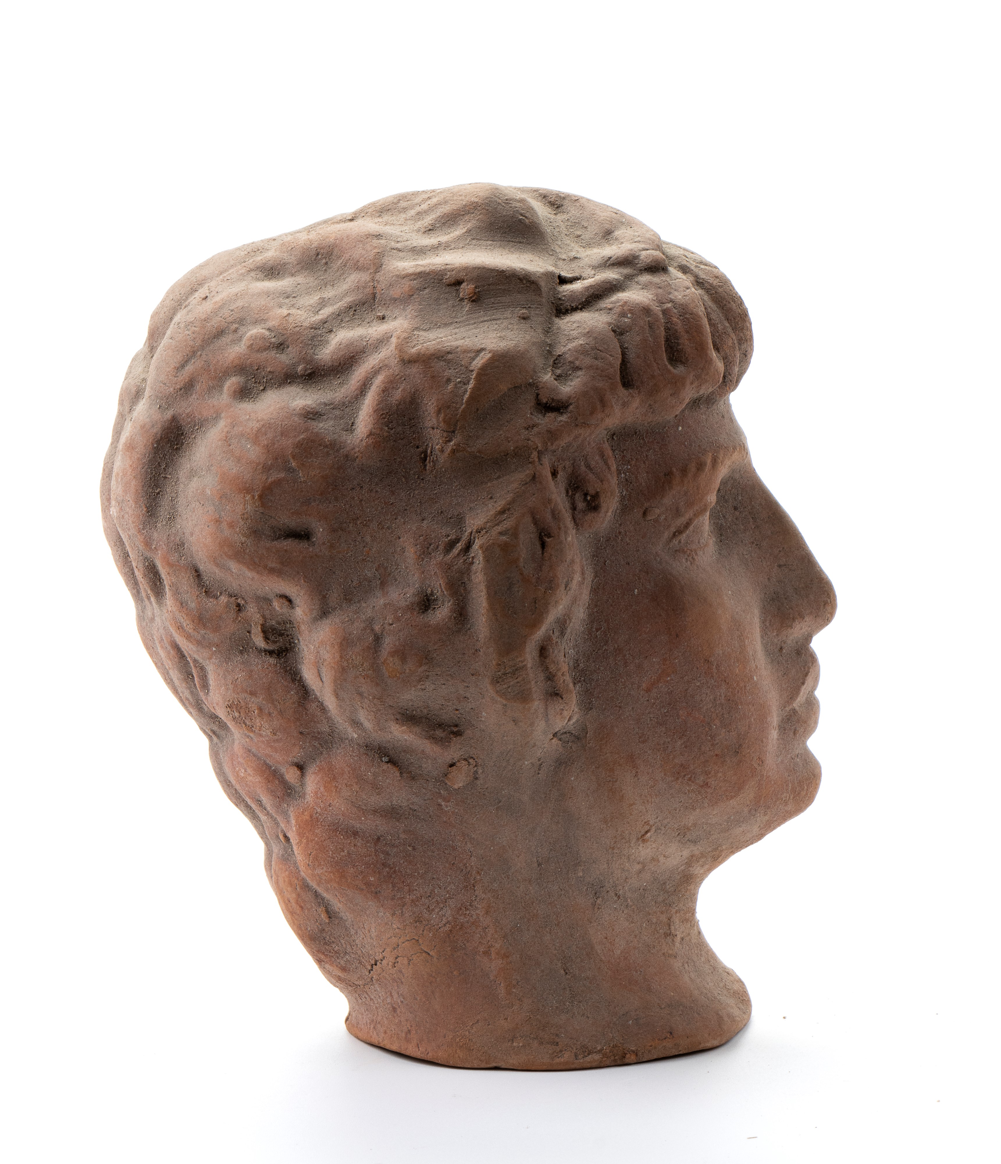 Testa di donna in terracotta