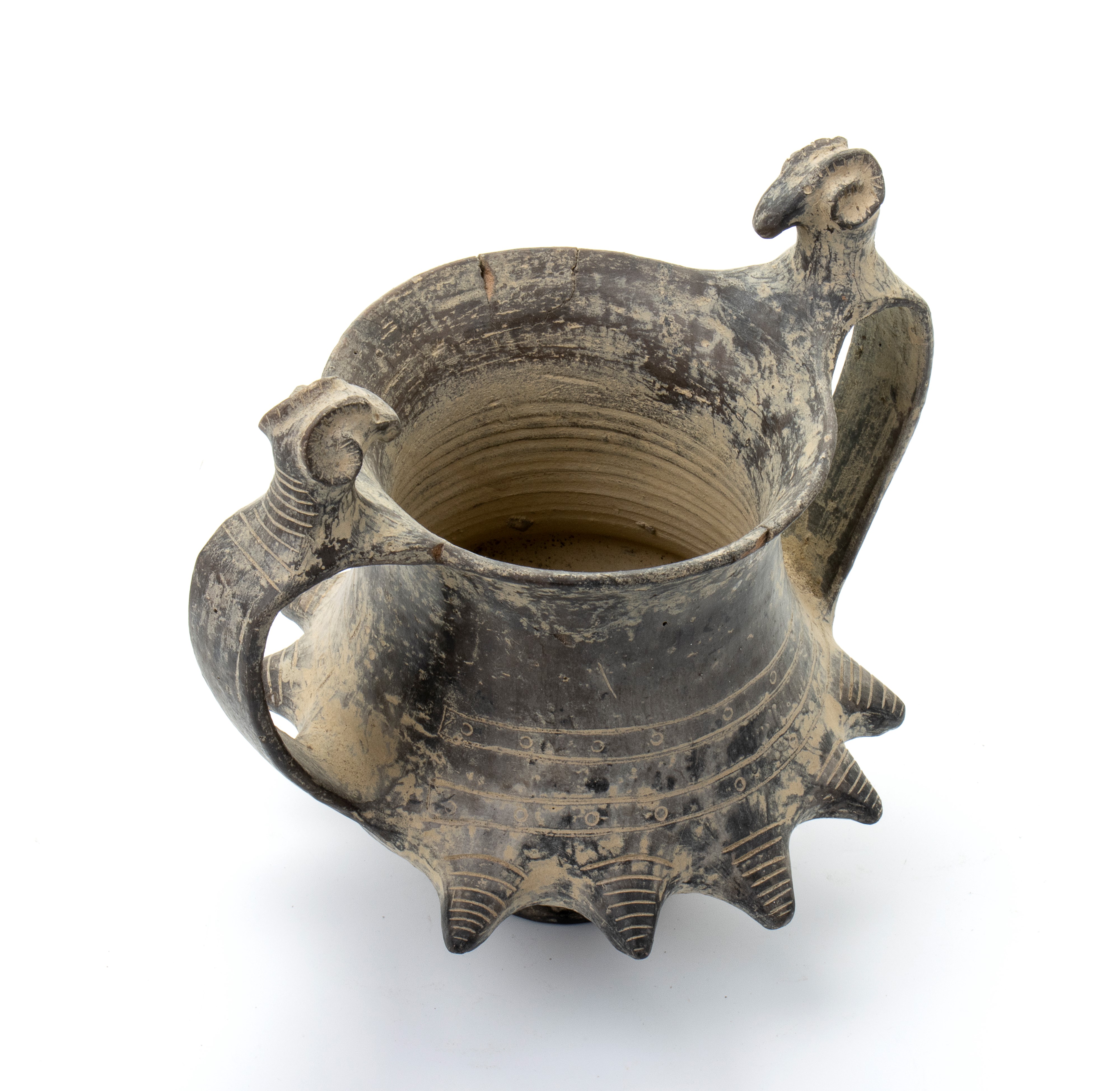 Coppa biansata in ceramica buccheroide con decori a rilievo di testa di montone sulle anse e umbo...