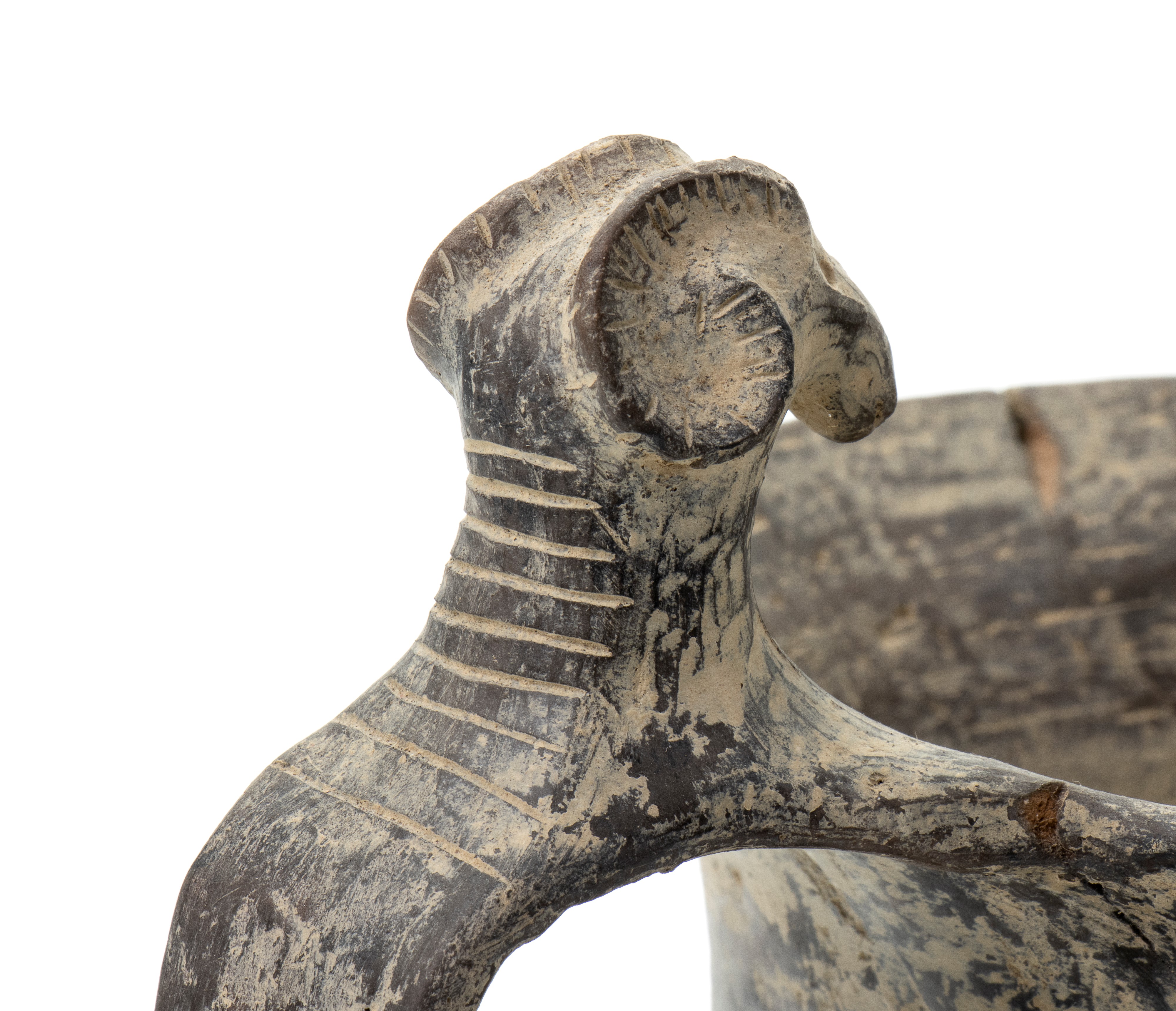 Coppa biansata in ceramica buccheroide con decori a rilievo di testa di montone sulle anse e umbo...