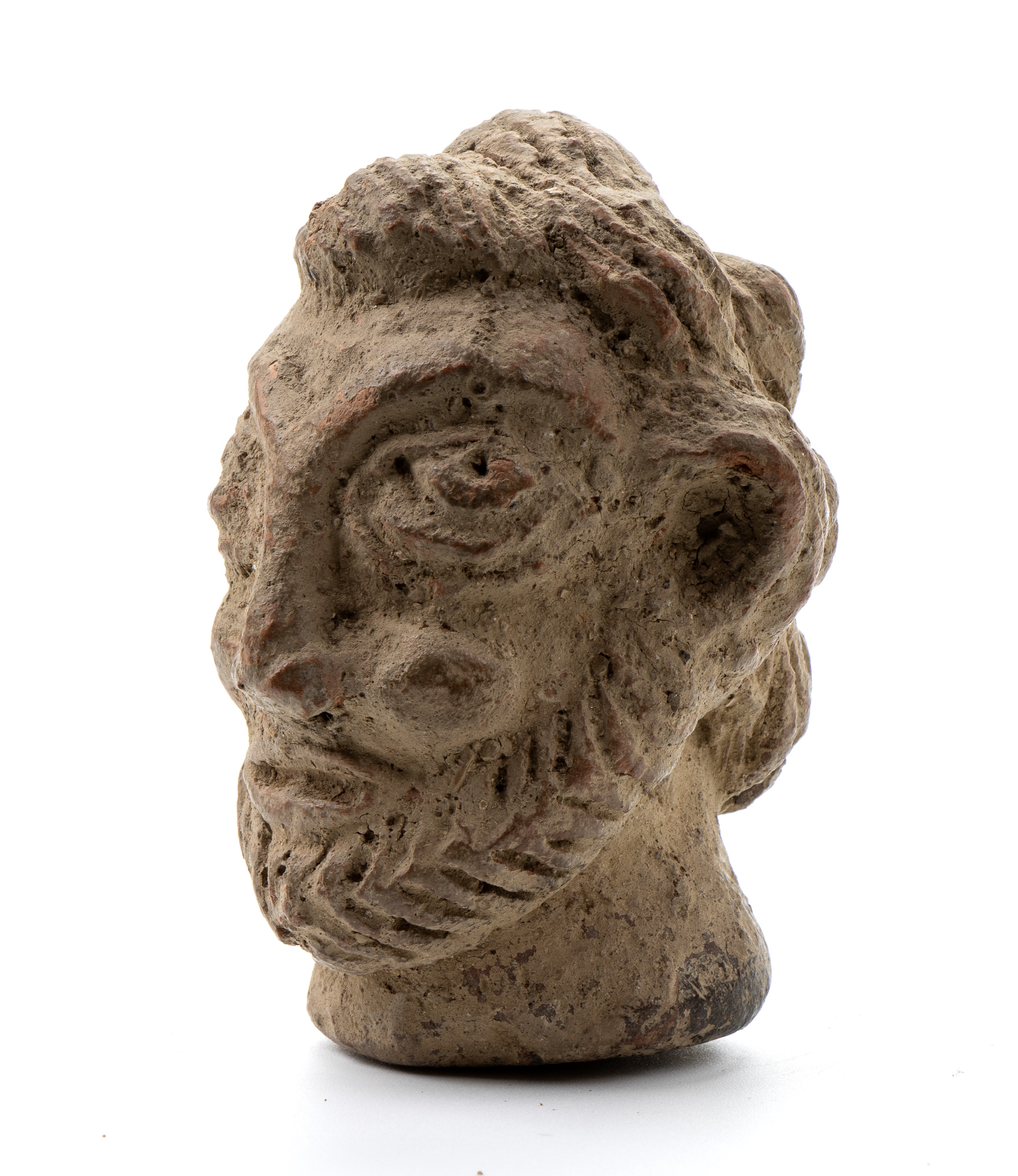 Testa di vecchio barbuto