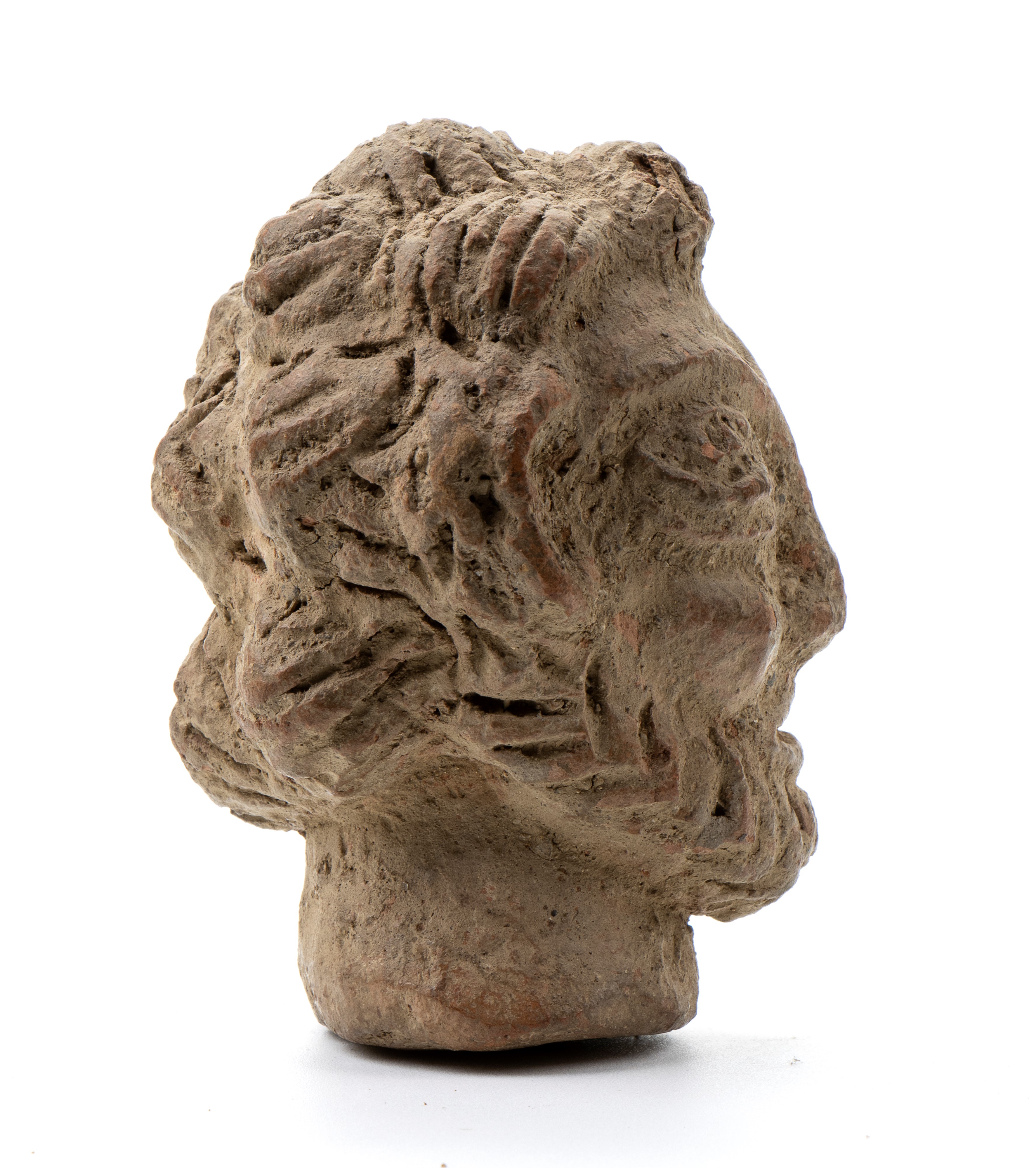 Testa di vecchio barbuto