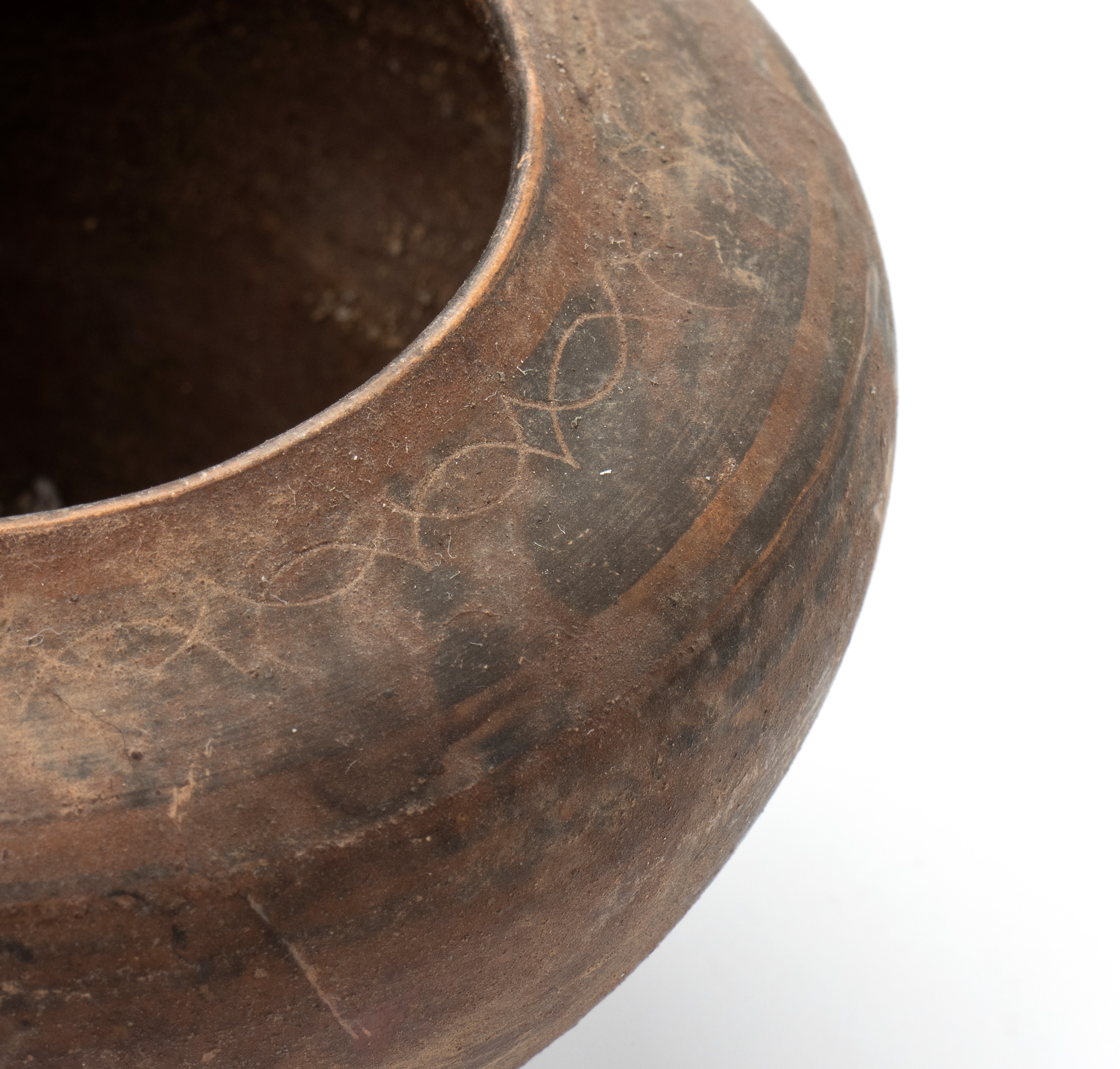 Contenitore con coperchio