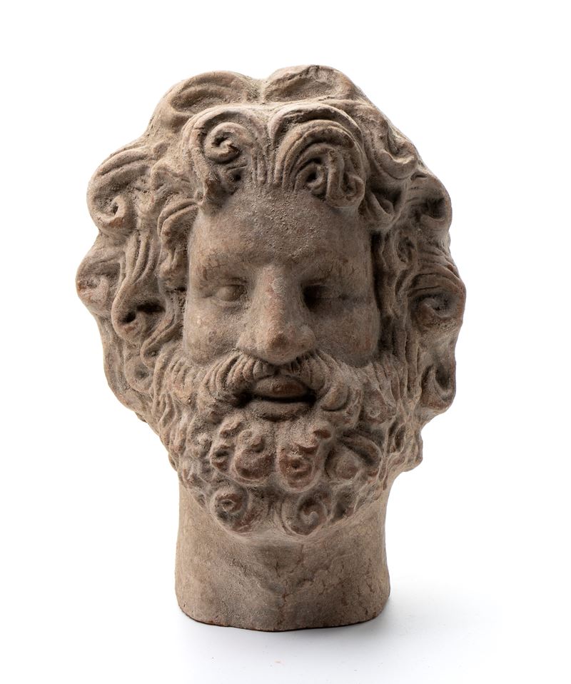Testa Virile con Barba
