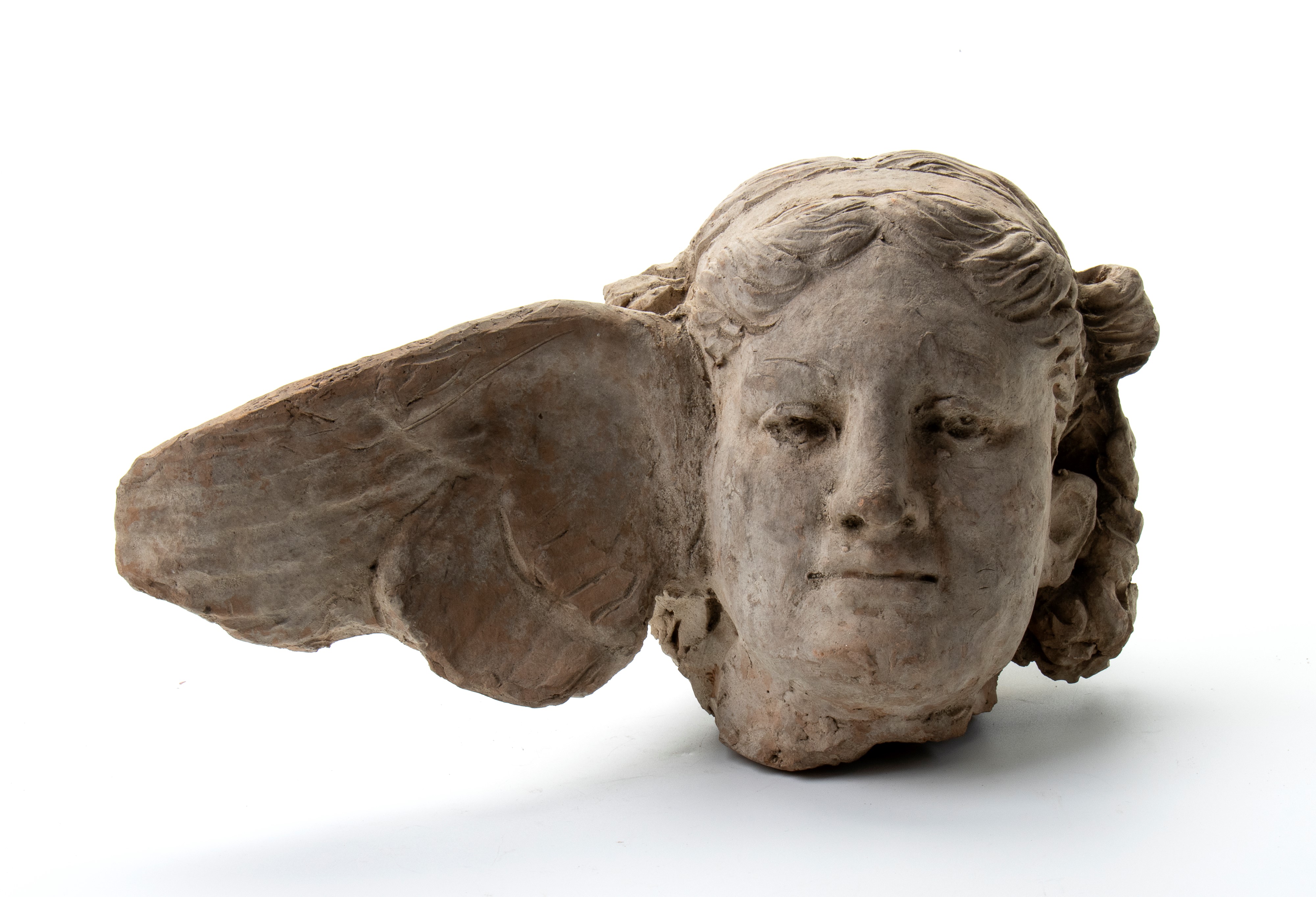 Testadi Mercurio alato in terracotta