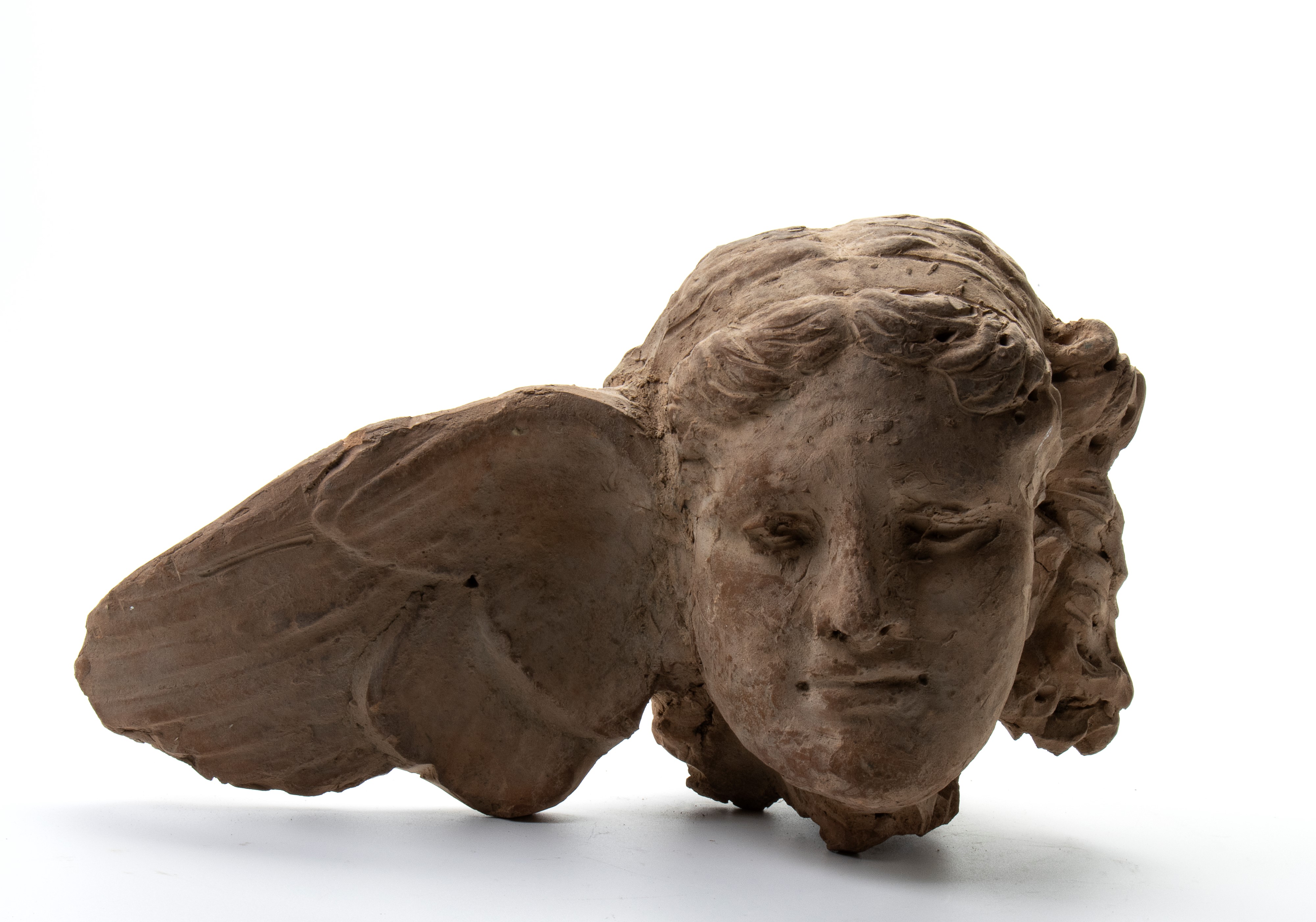 Testadi Mercurio alato in terracotta