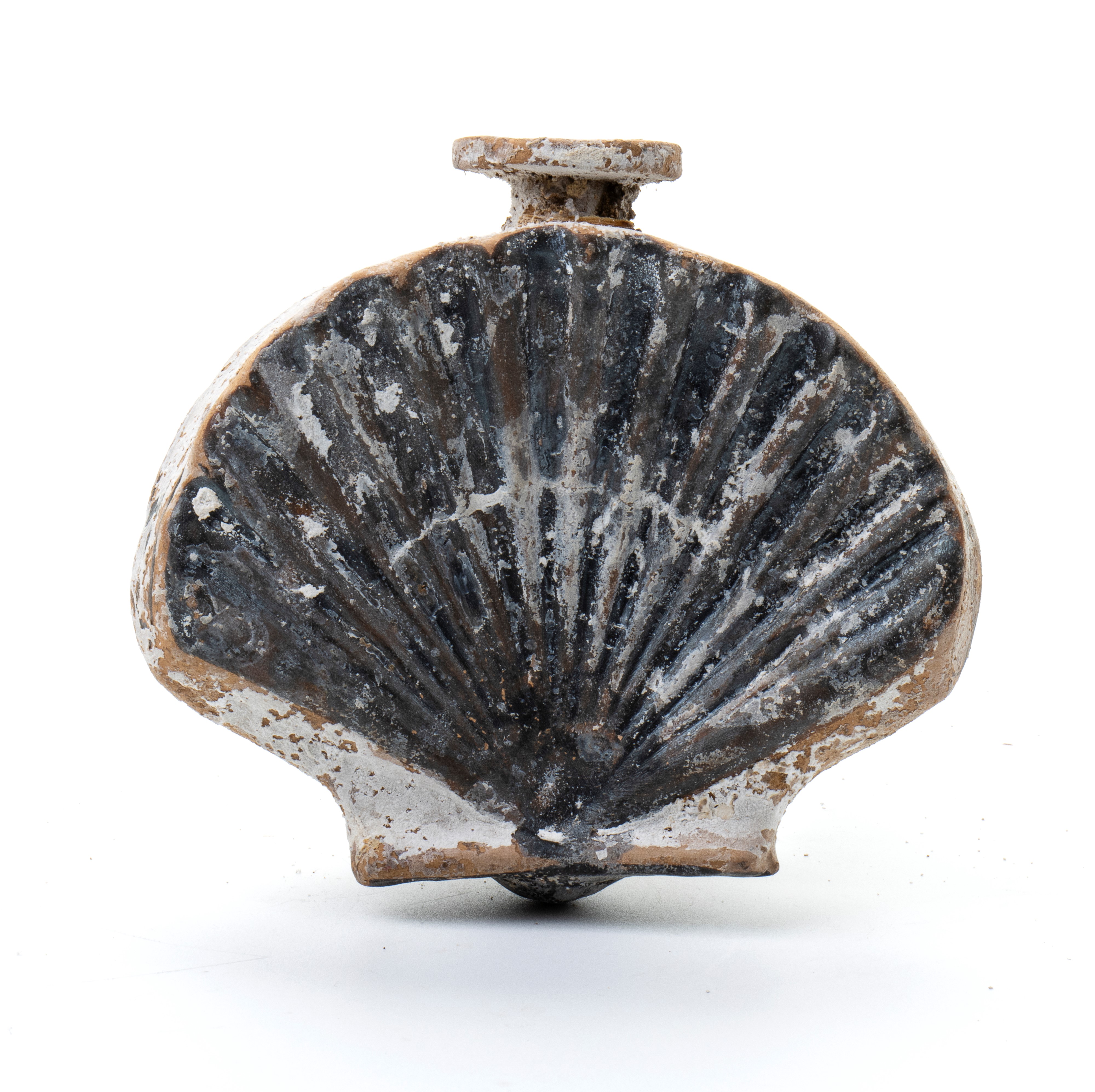 Conchiglia in terracotta