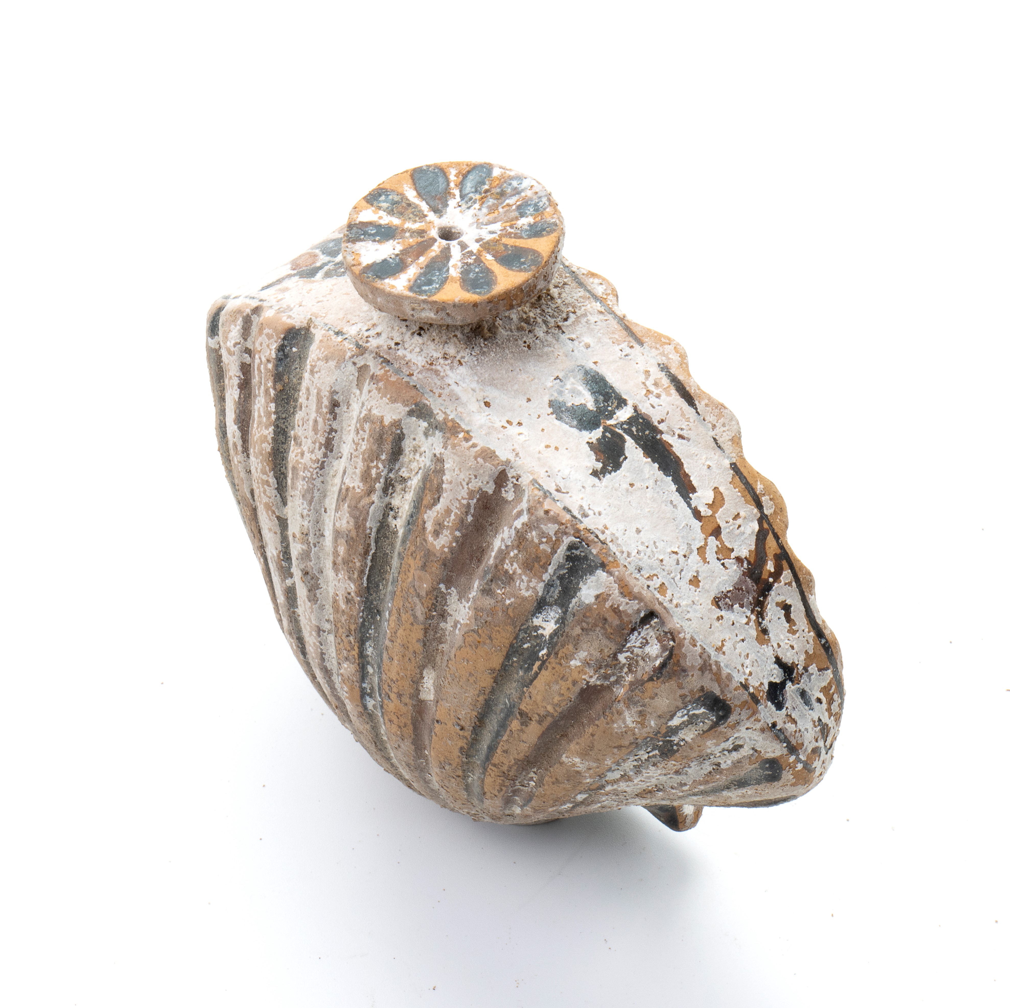 Conchiglia in terracotta