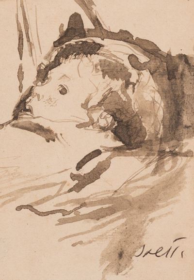 Bambino