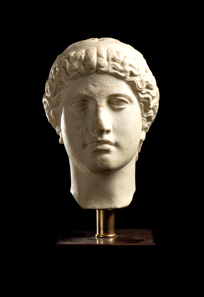 Testa di giovane greco