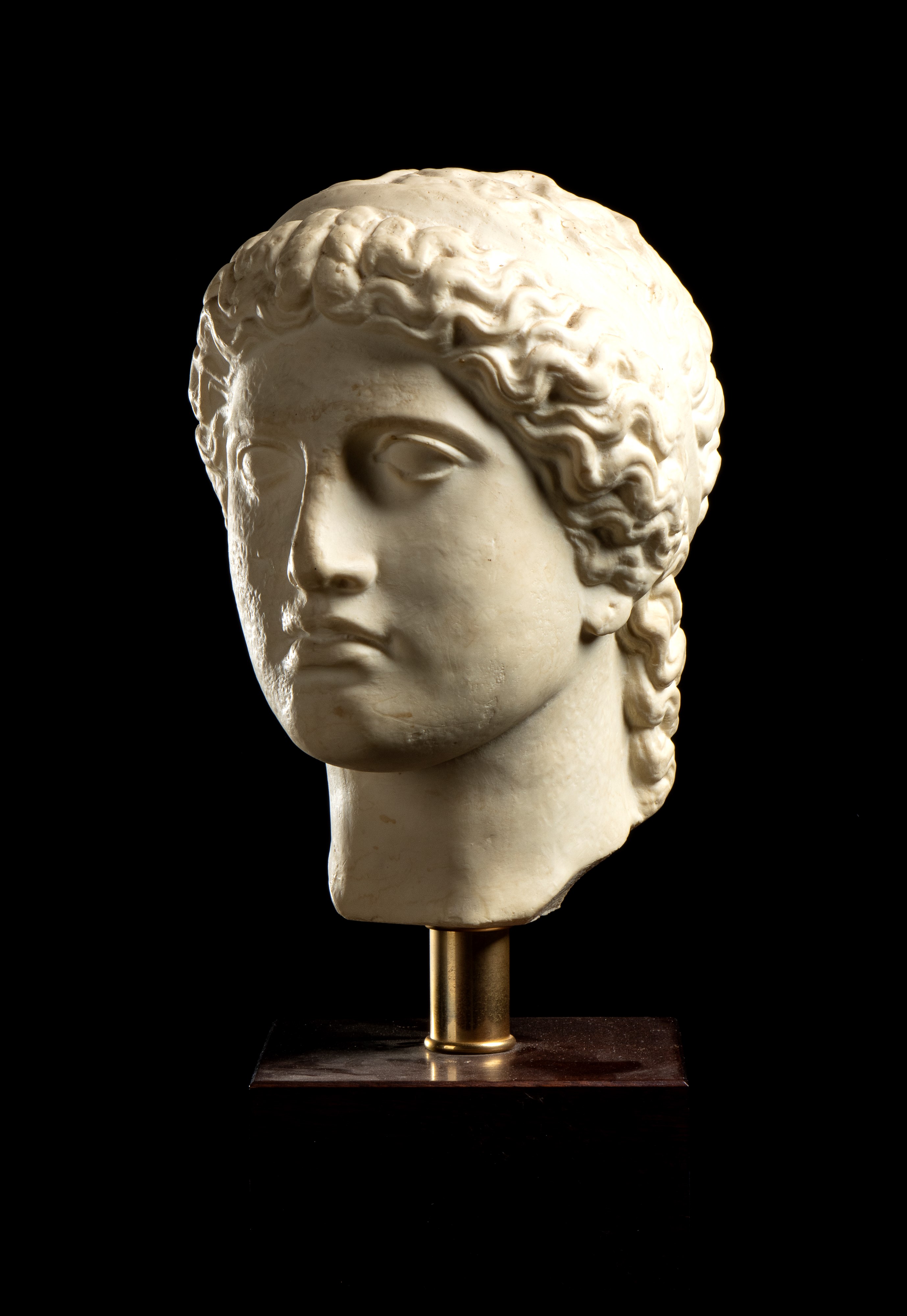 Testa di giovane greco