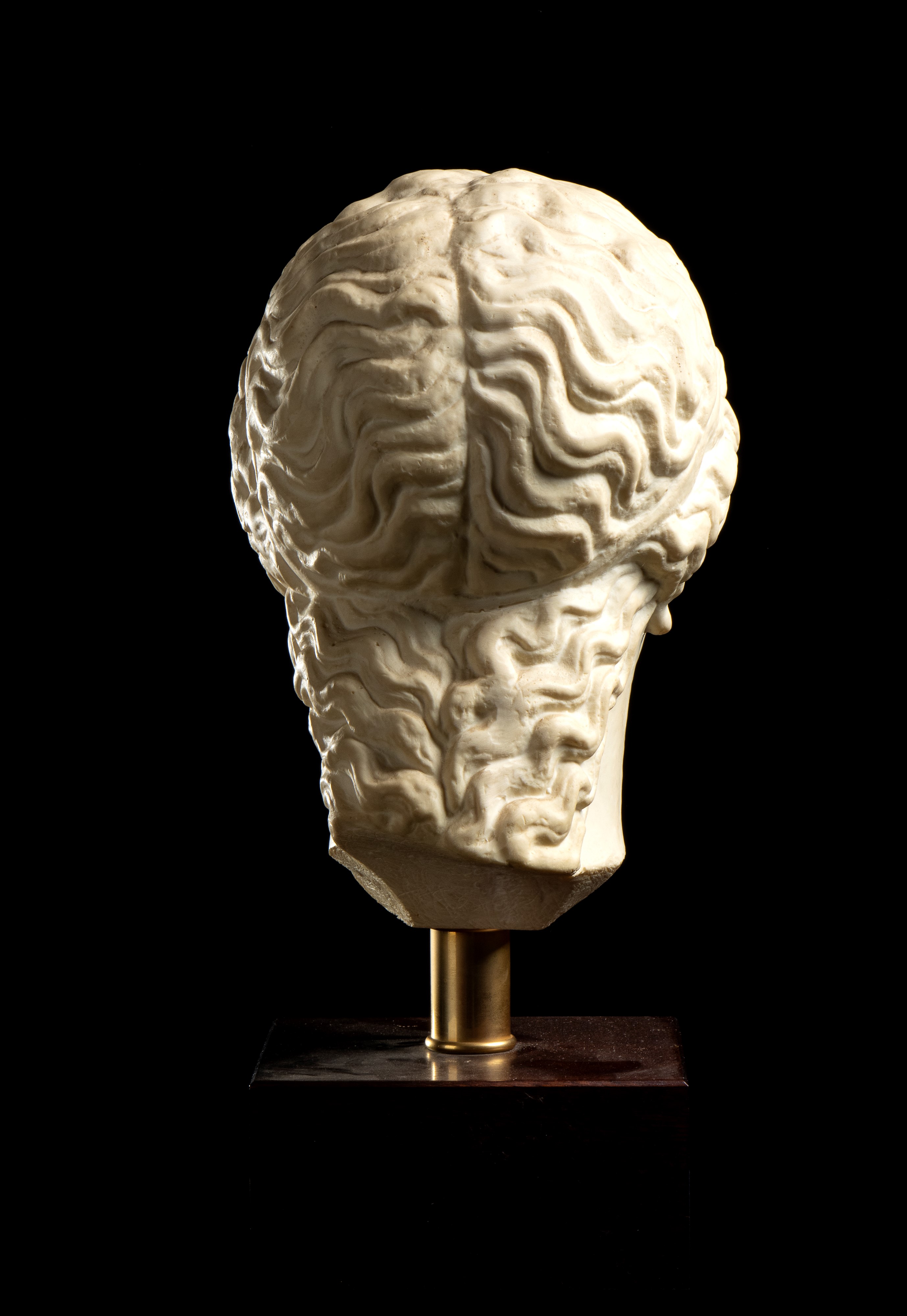 Testa di giovane greco