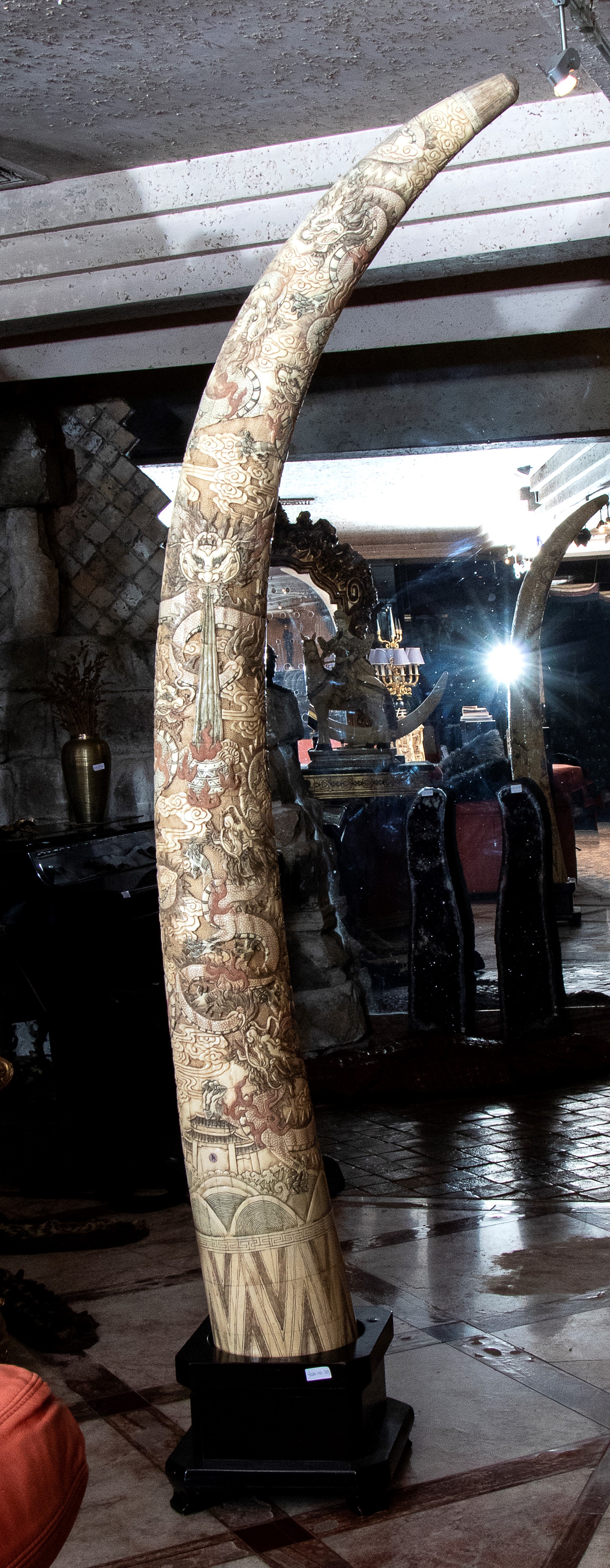 Coppia di grandi repliche di zanne con base in legno