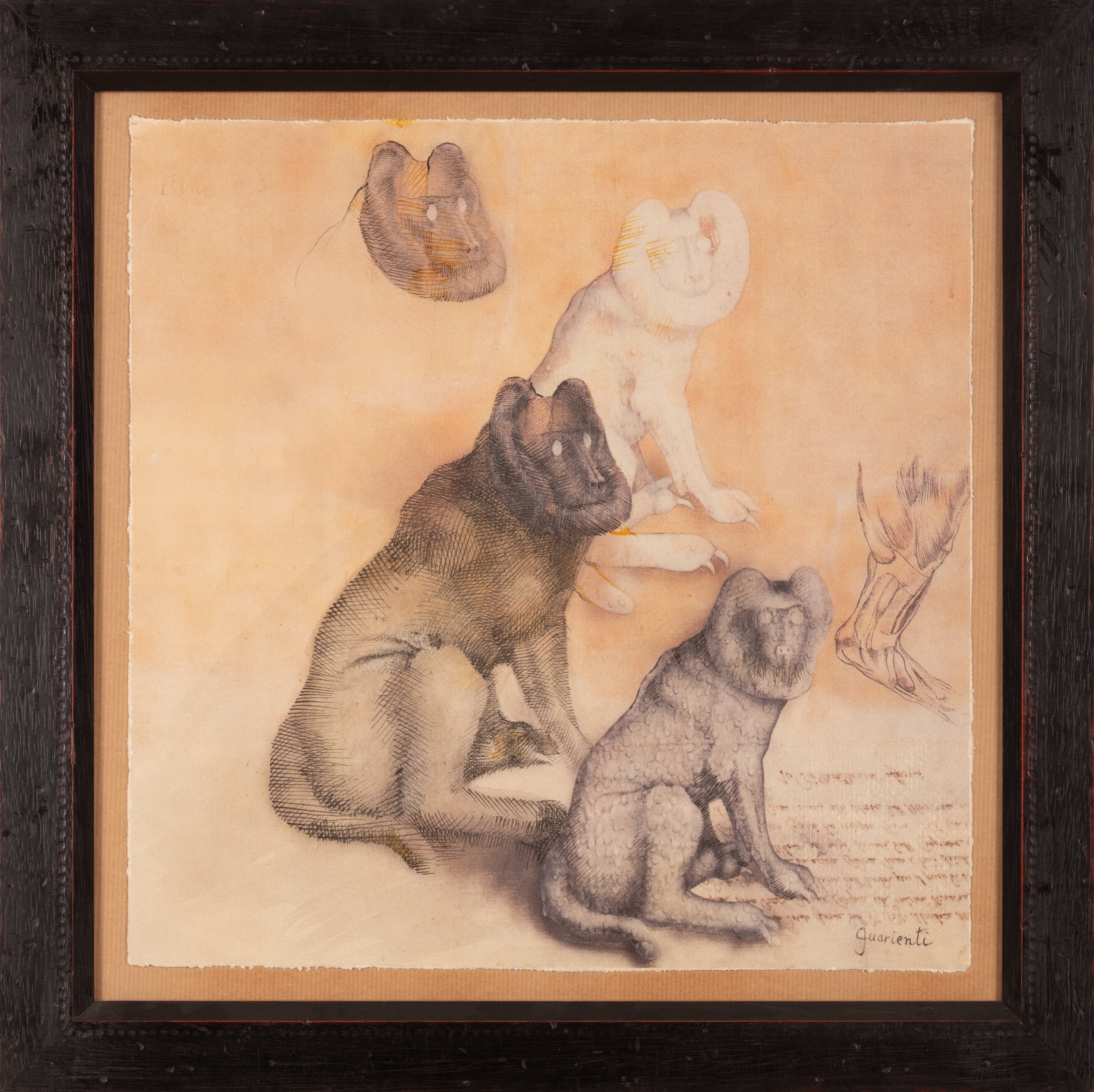 Carlo Guarienti - Cane N° 3