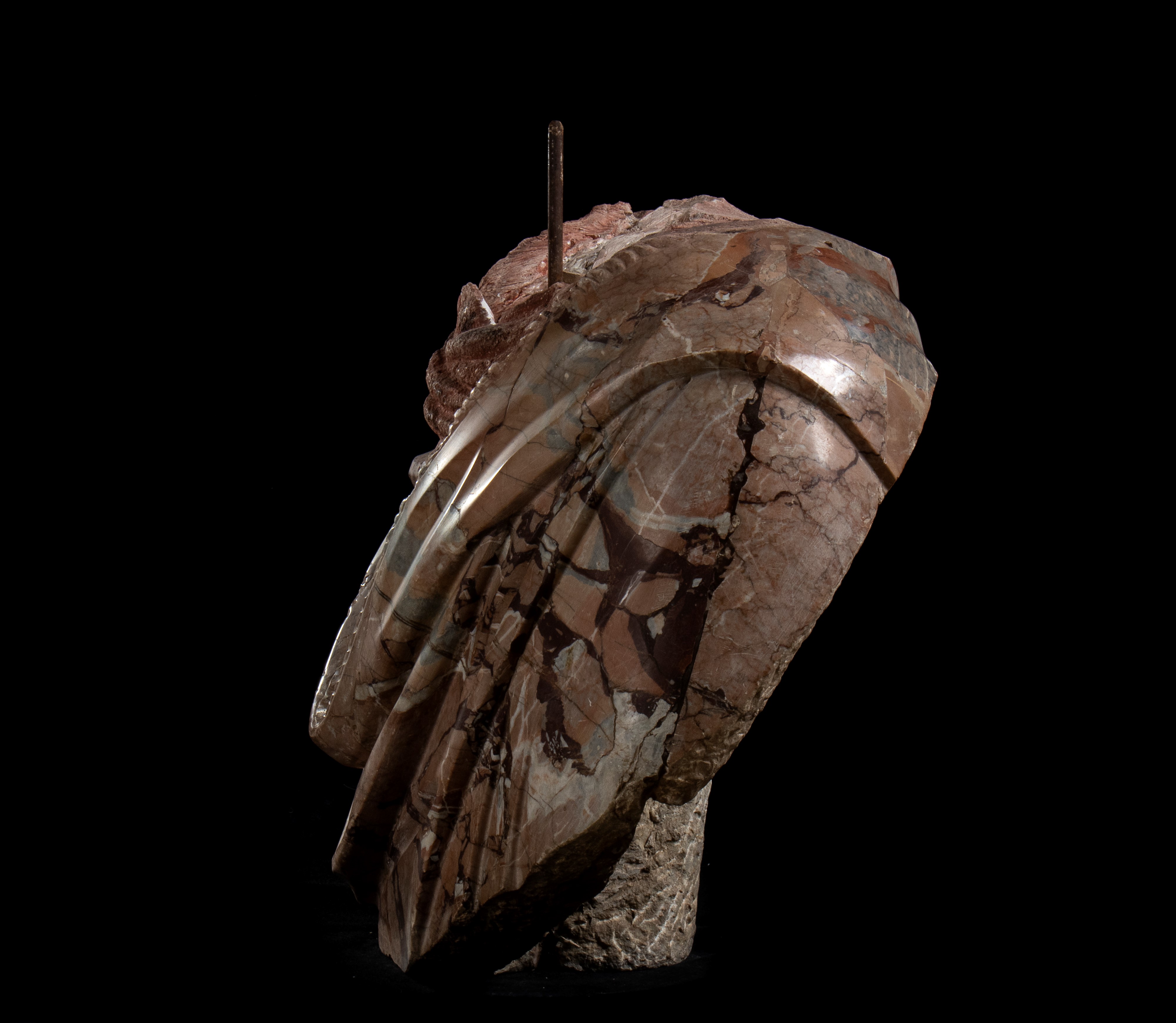 Busto acefalo in breccia africana a imitazione del vero di imperatore. Manifattura Romana del XIX...
