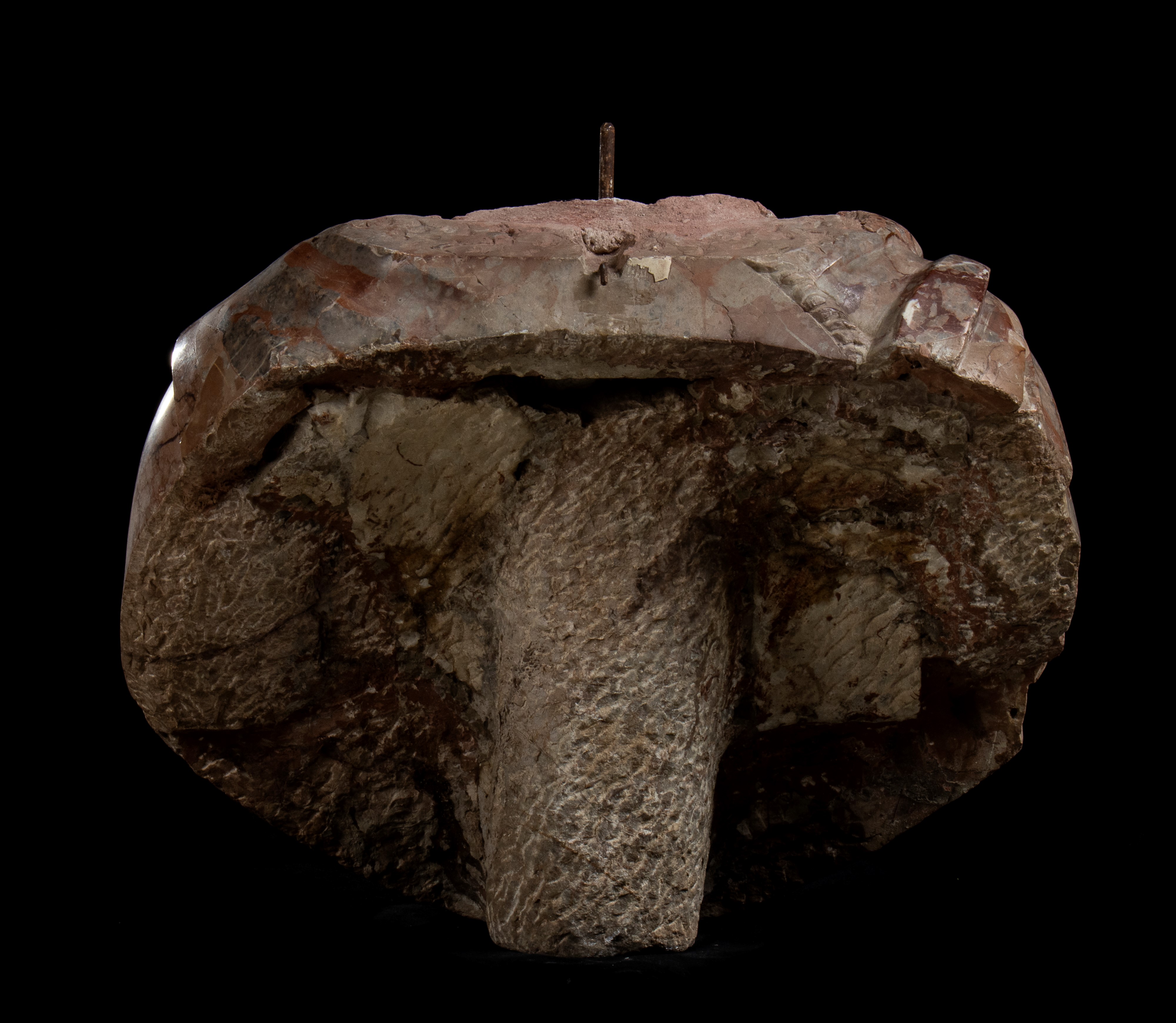 Busto acefalo in breccia africana a imitazione del vero di imperatore. Manifattura Romana del XIX...