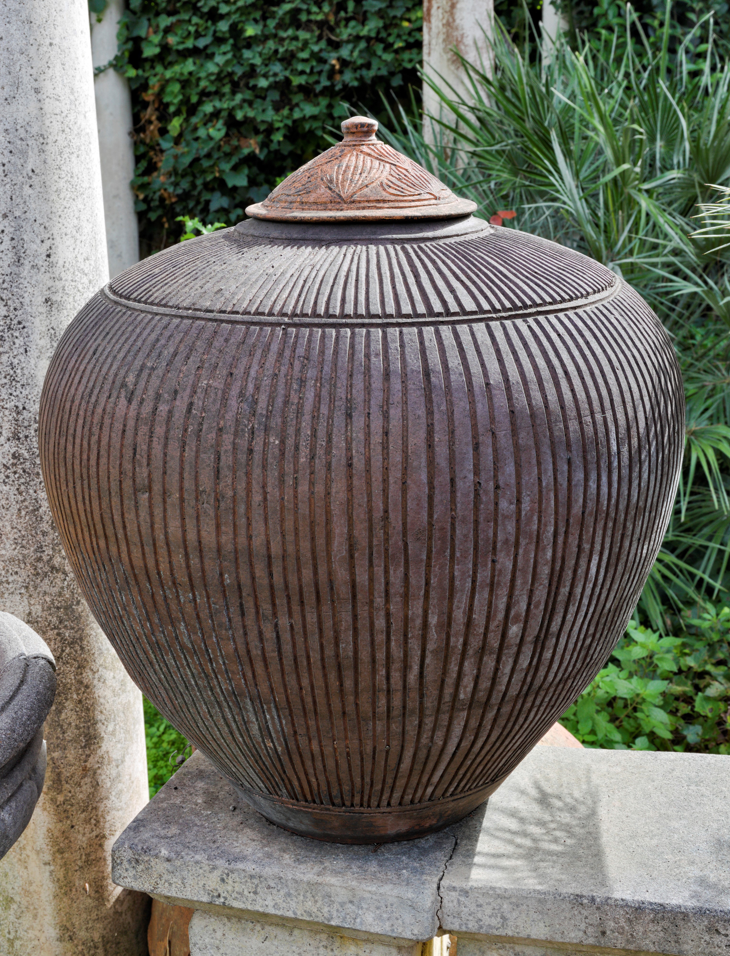 Coppia di Grandi Vasi in Terracotta Rastremati con Coperchio