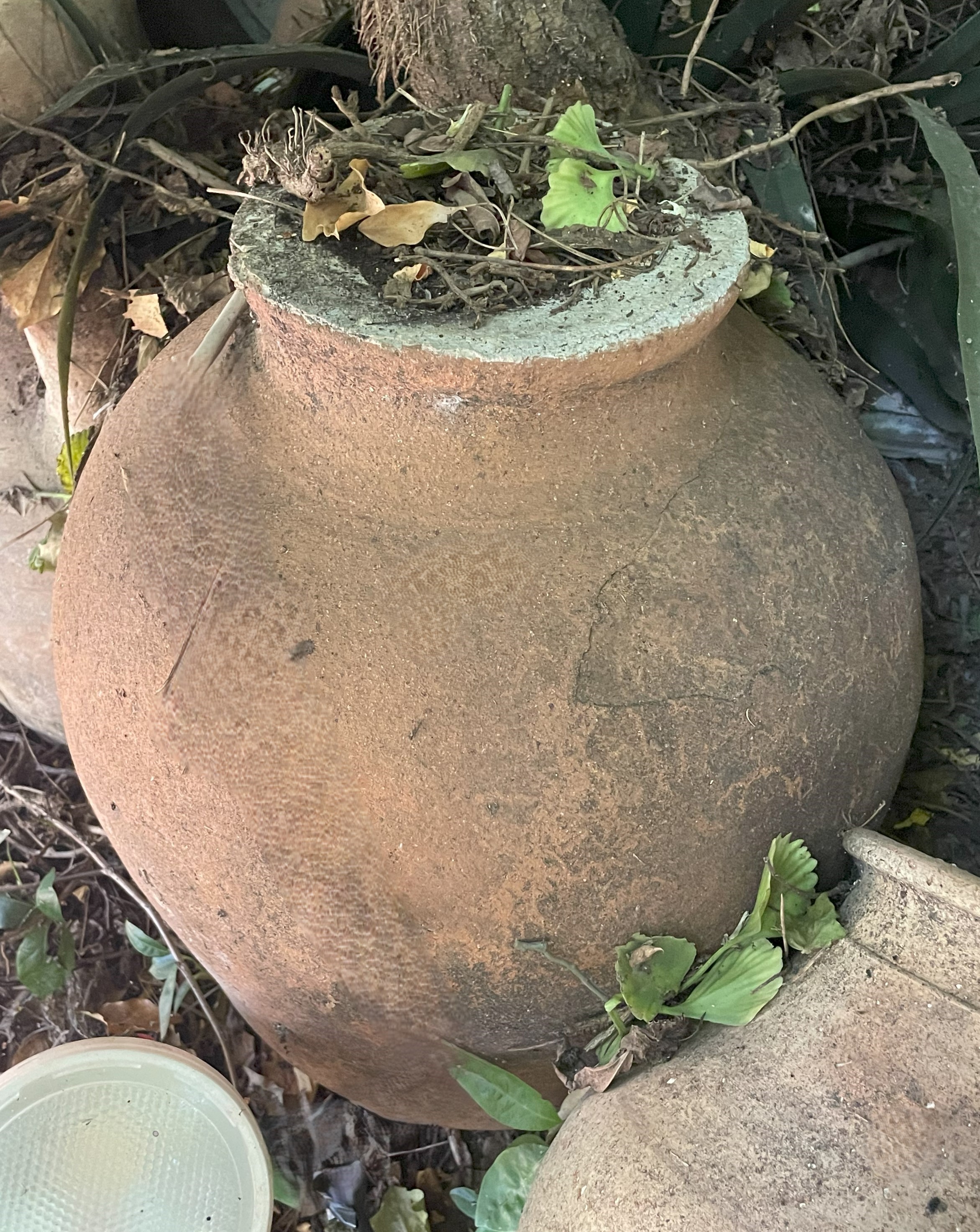 Lotto di Tre Vasi in Terracotta