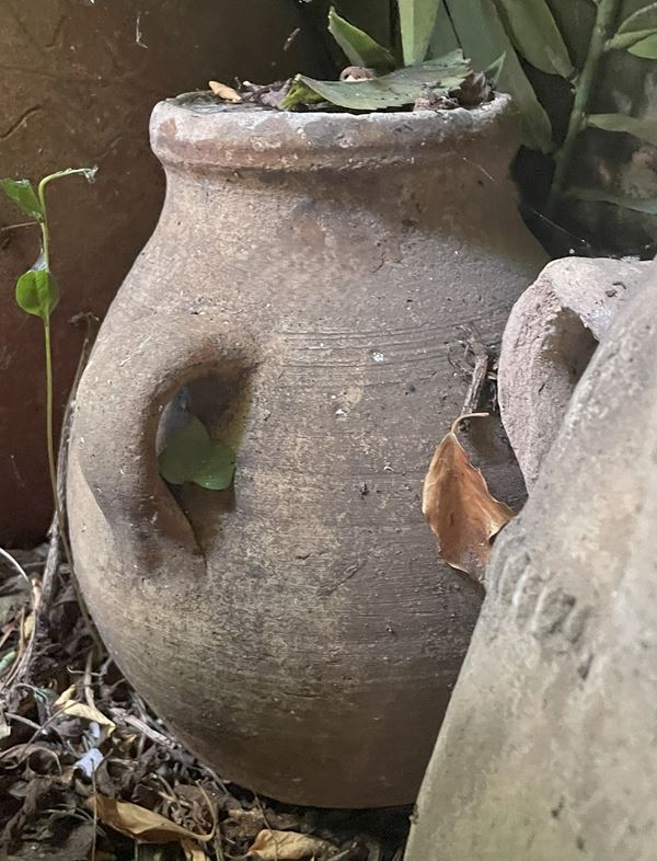 Lotto di tre vasi in terracotta