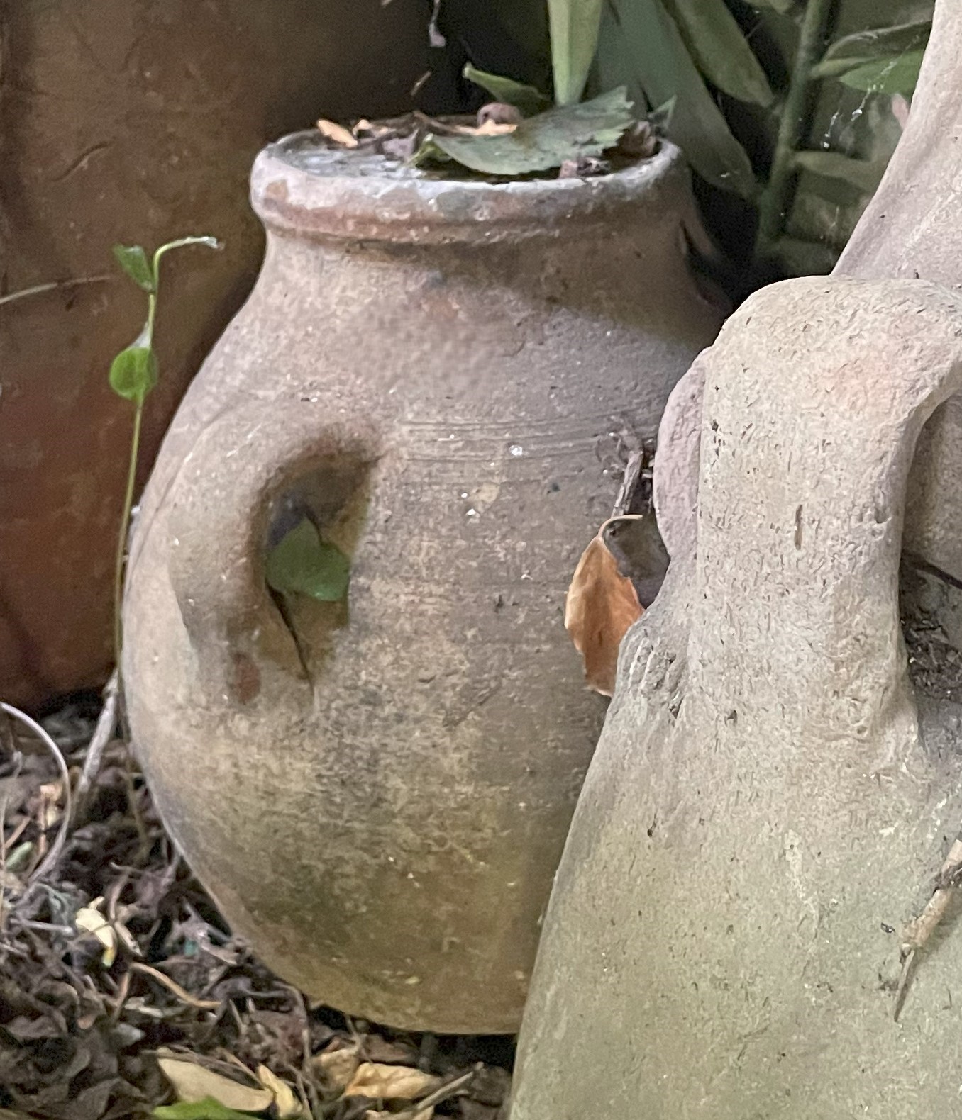 Lotto di Tre Vasi in Terracotta