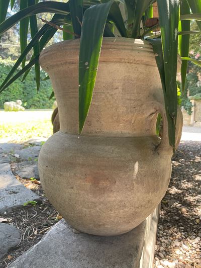 Coppia di Anfore in Terracotta con Prese Laterali
