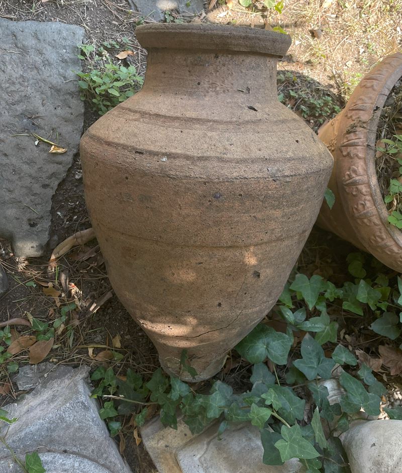 Lotto di Due Anfore Olearie in Terracotta