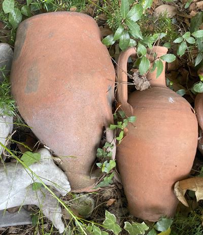 Lotto di 3 Anfore Olearie in Terracotta