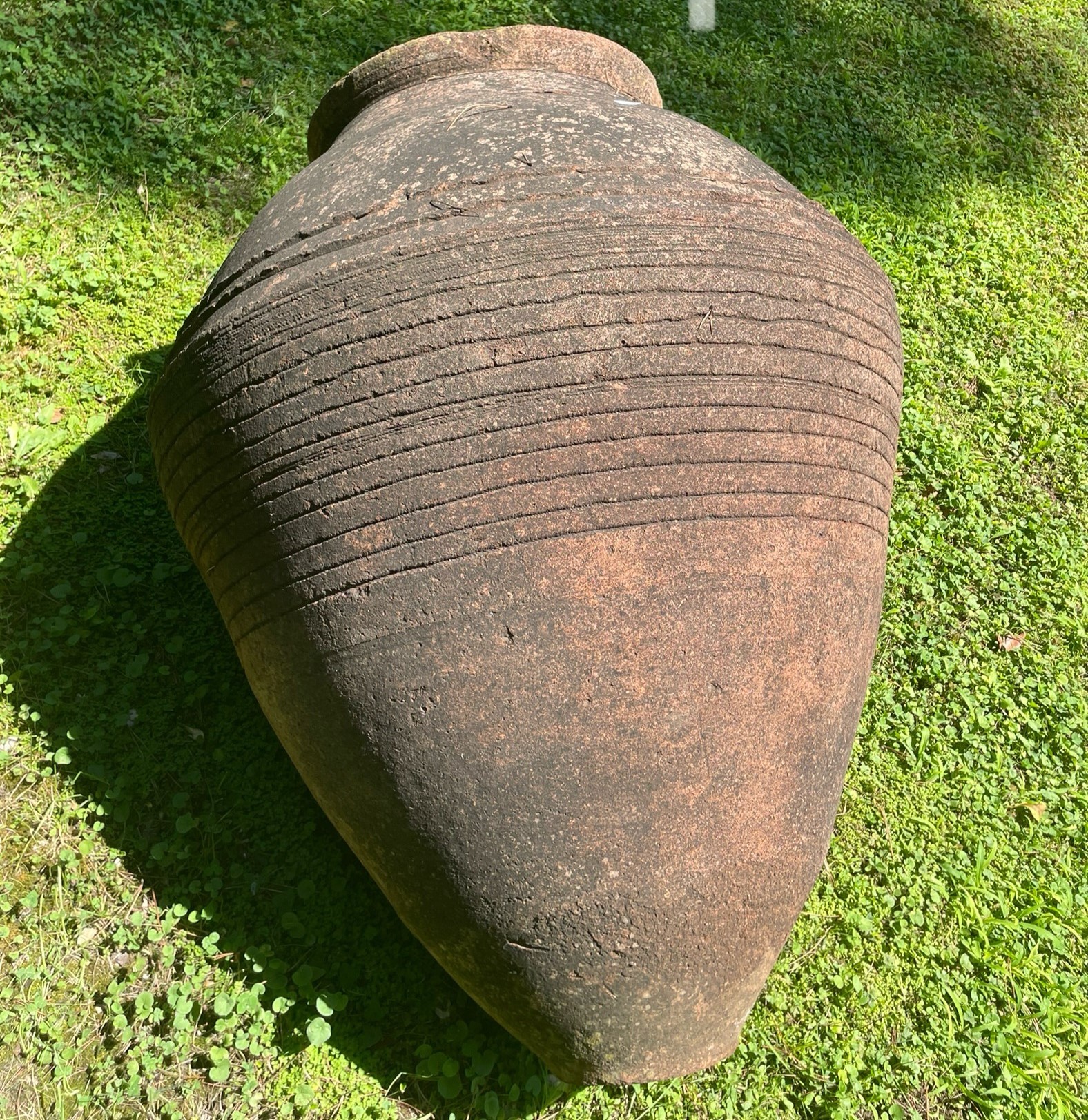 Coppia di grandi anfore olearie in terracotta