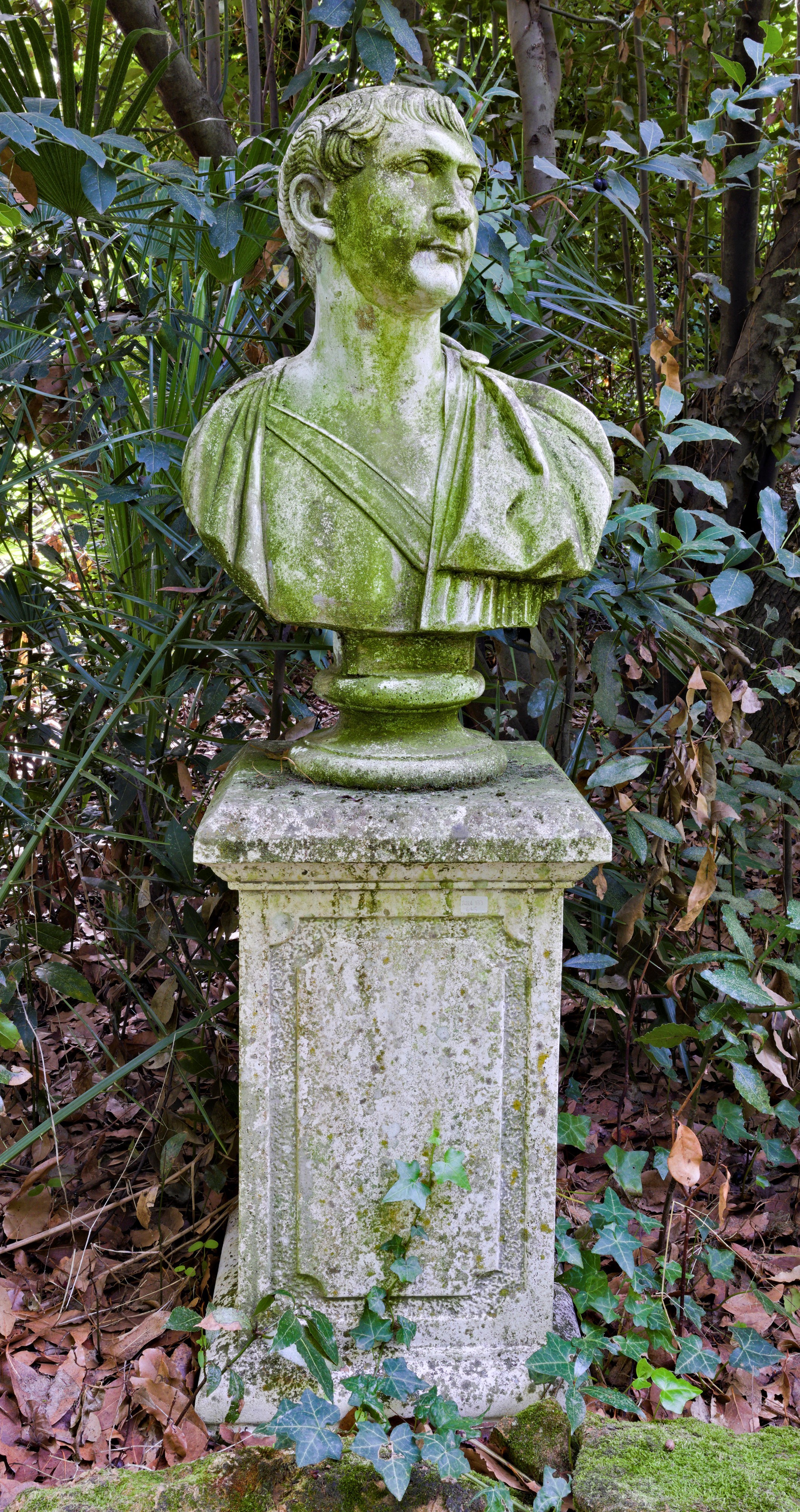 Busto di giovane togato in agglomerato di pietra