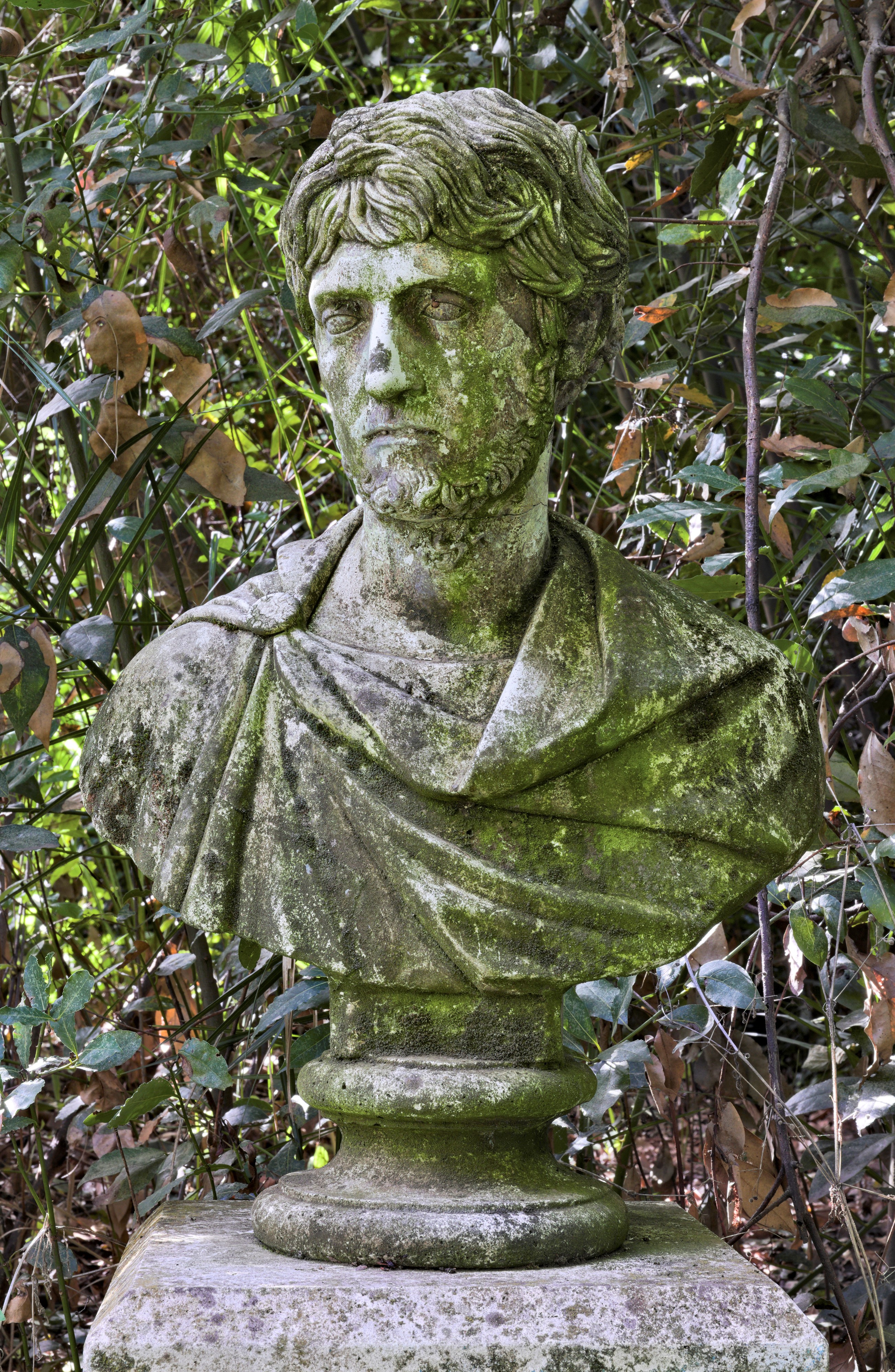 Busto Virile con Barba