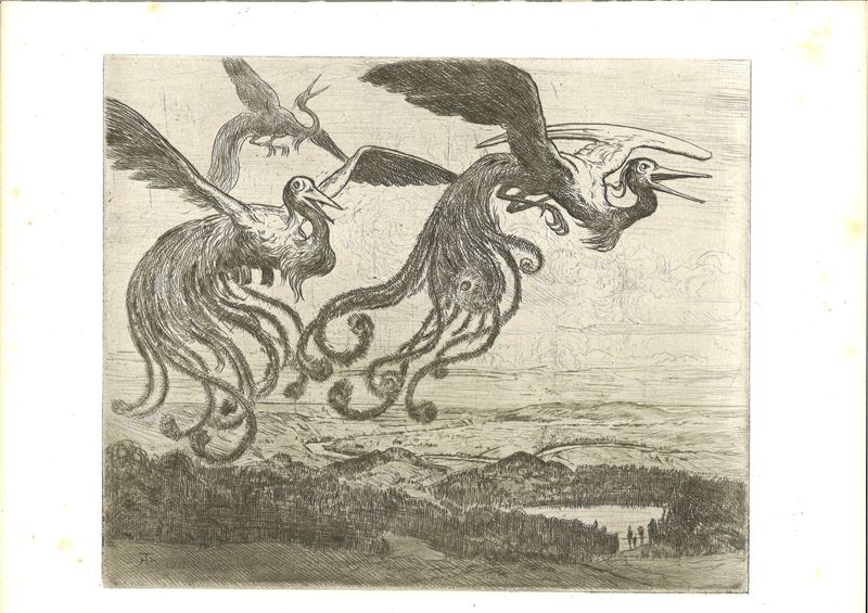 Gli uccelli meravigliosi