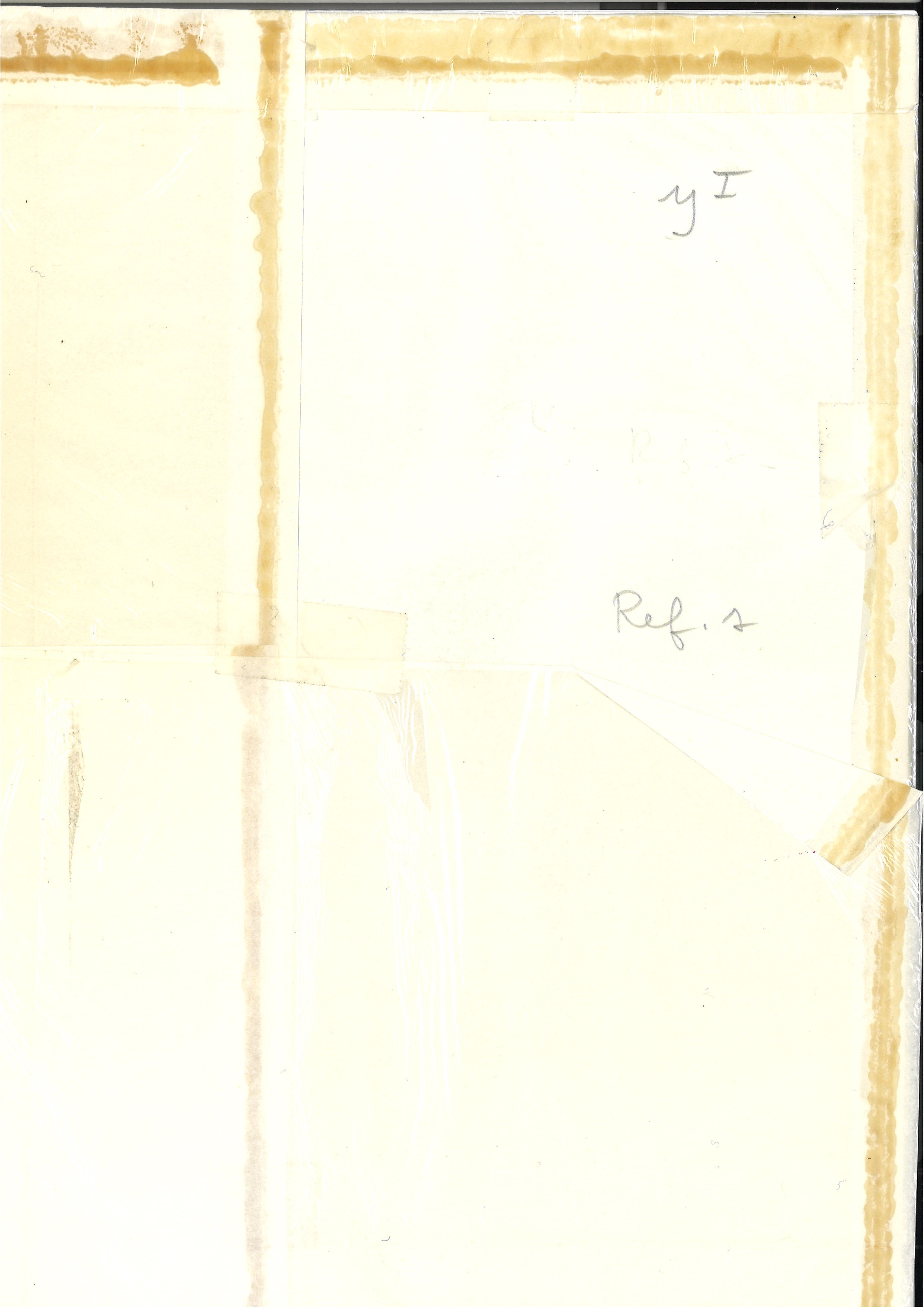 Lotto di 3 incisioni rappresentante farfalle