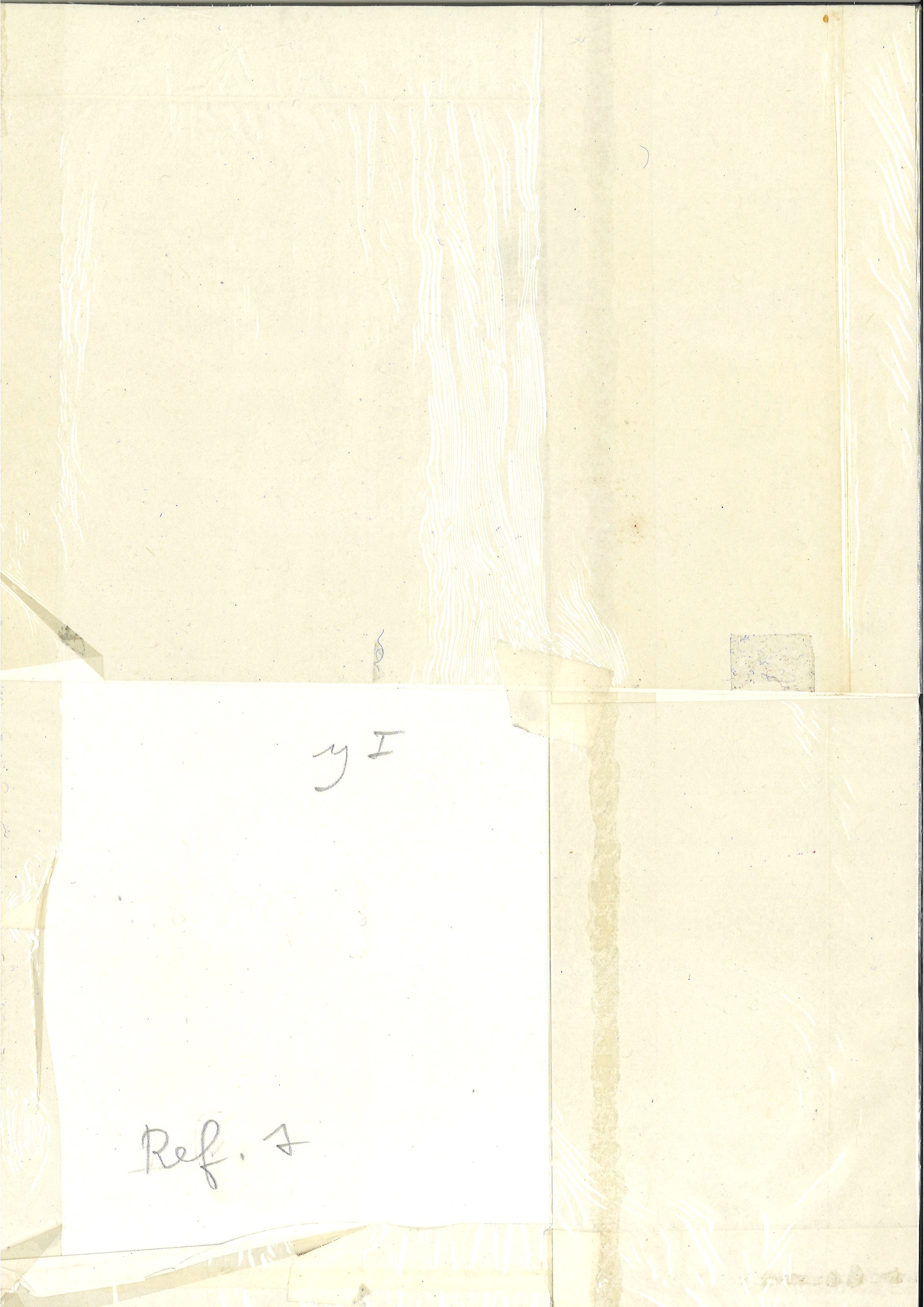 Lotto di 3 incisioni rappresentante farfalle