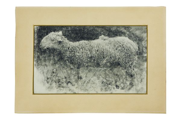 Francesco Paolo Michetti - Pecorella di profilo