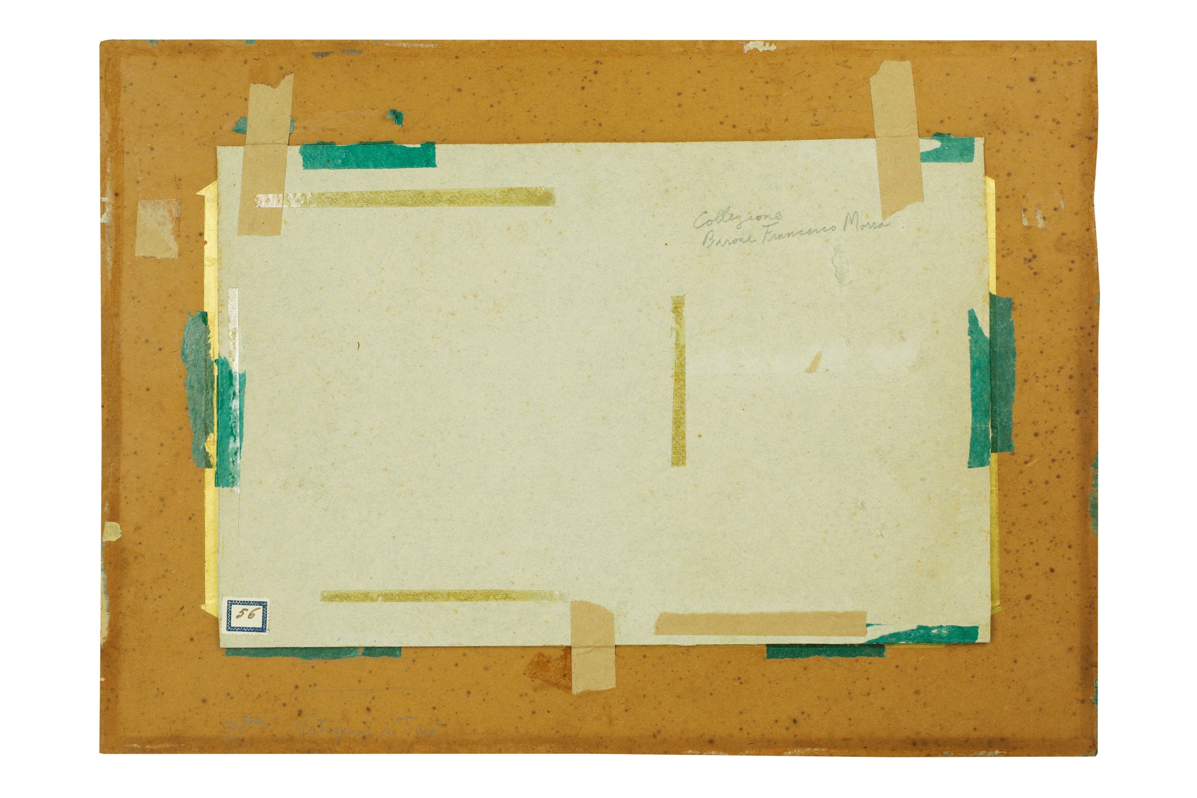 Pecorella di profilo