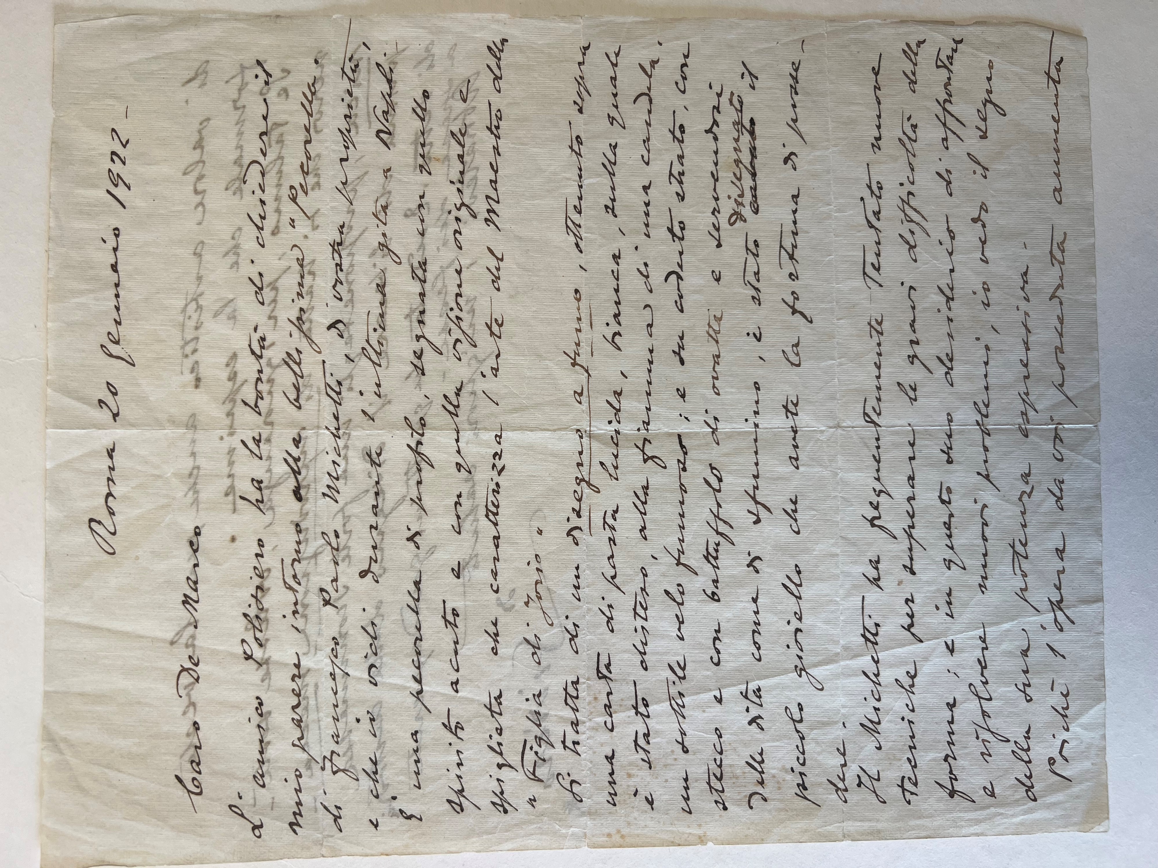 Pecorella di profilo