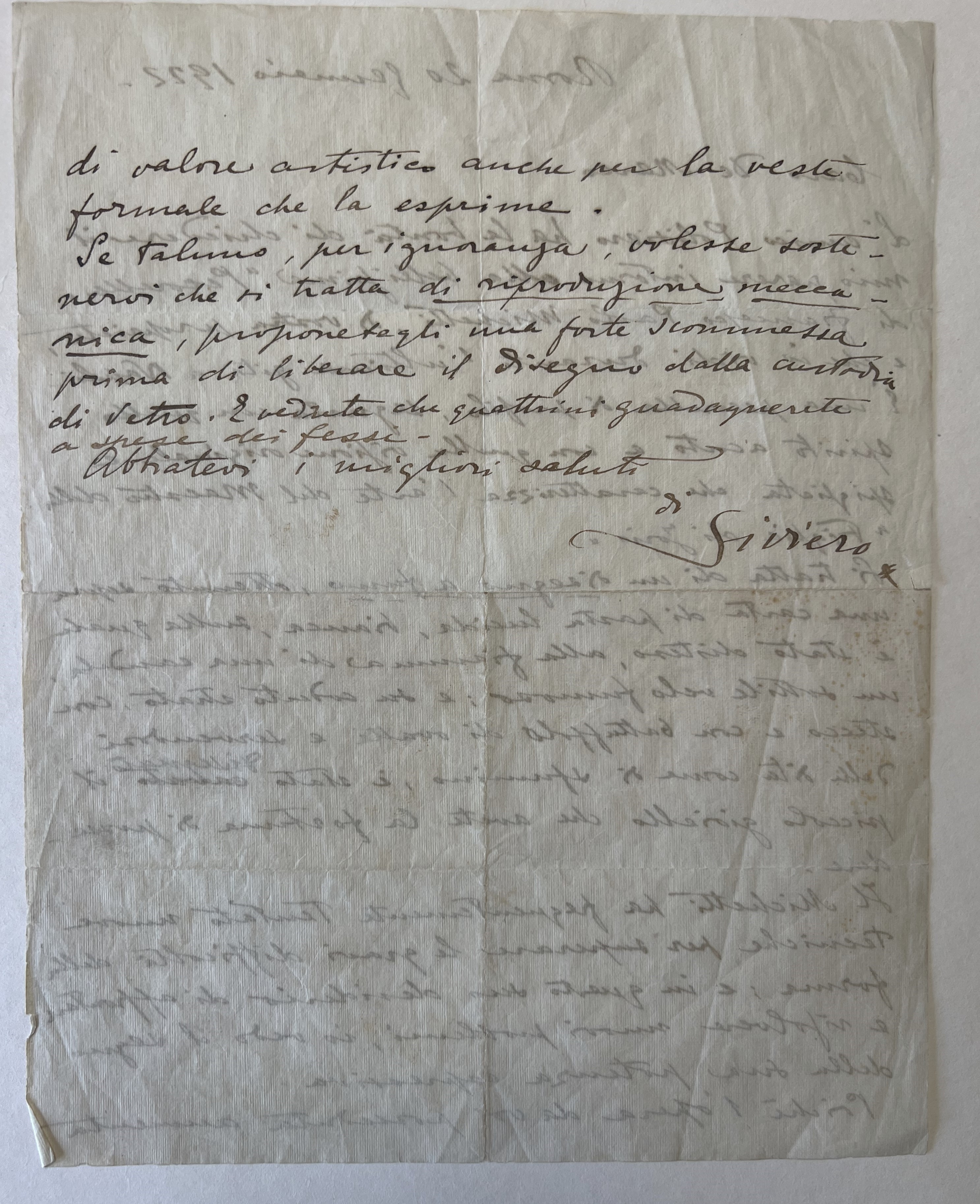 Pecorella di profilo