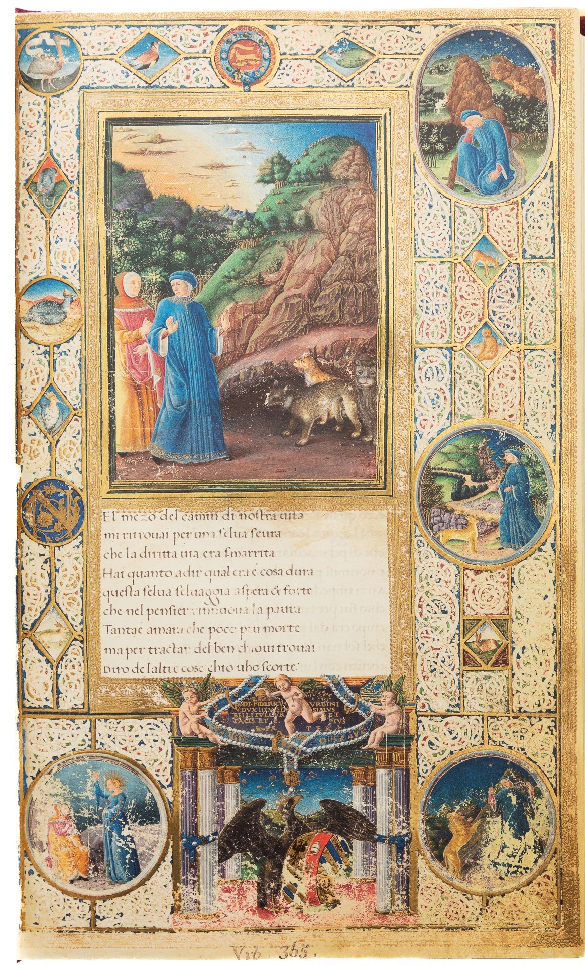 La Divina Commedia di Federico da Montefeltro, Dante Urbinate