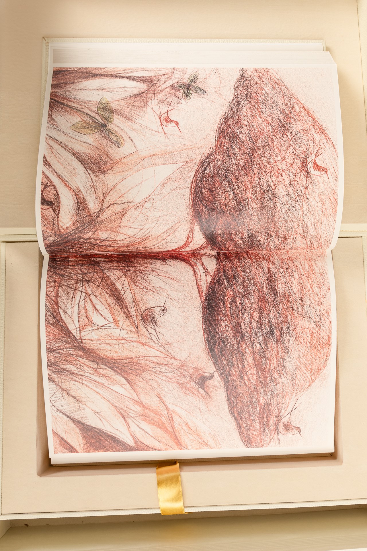 Antonio Nocera, Genesi