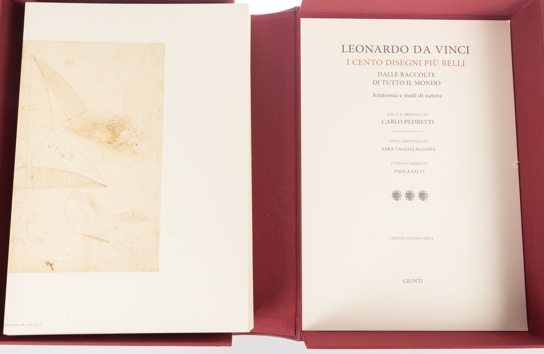 Leonardo Da Vinci «I cento disegni più belli dalle raccolte di tutto il mondo, scelti e presentat...