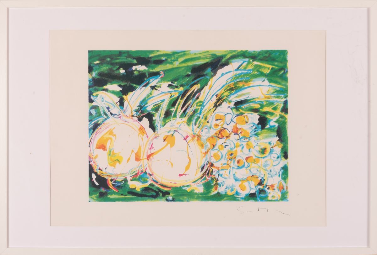 Mario Schifano - Orto Botanico