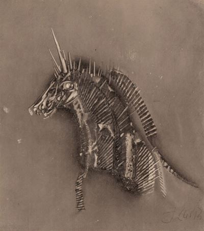 Animale Fantastico