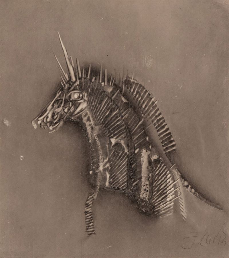 Fabrizio Clerici - Animale Fantastico