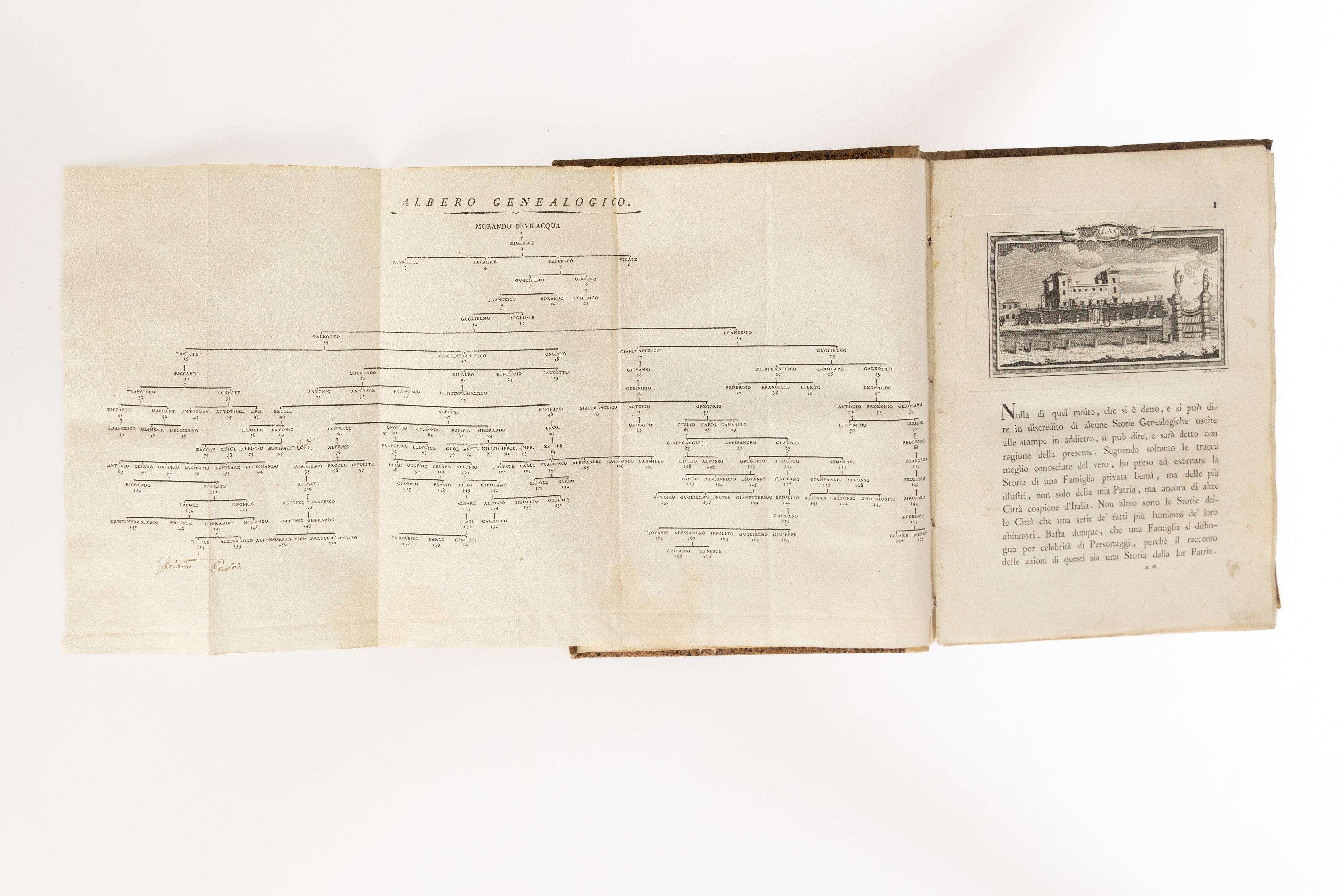 Memorie storiche della nobile famiglia