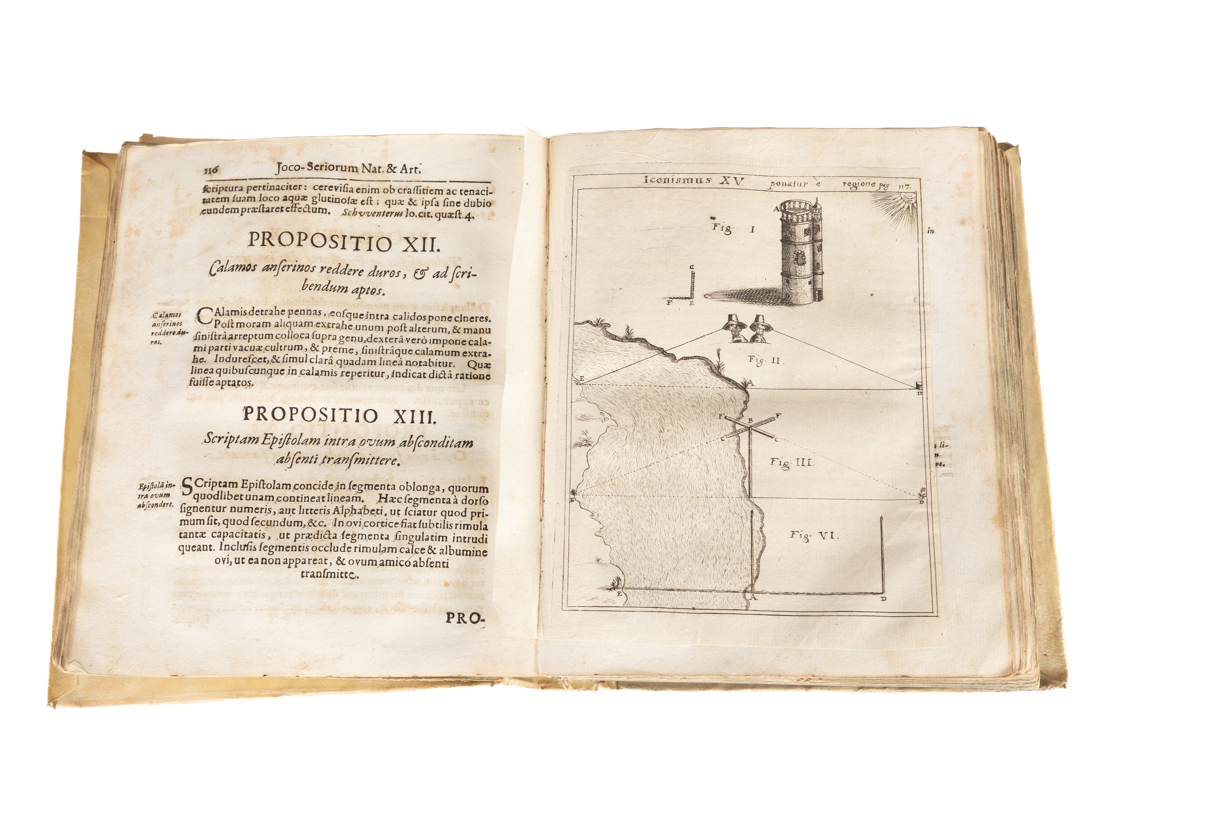 Ioco-seriorum naturae et artis, siue Magiae naturalis centuriae tres.. accessit diattibe de prodi...