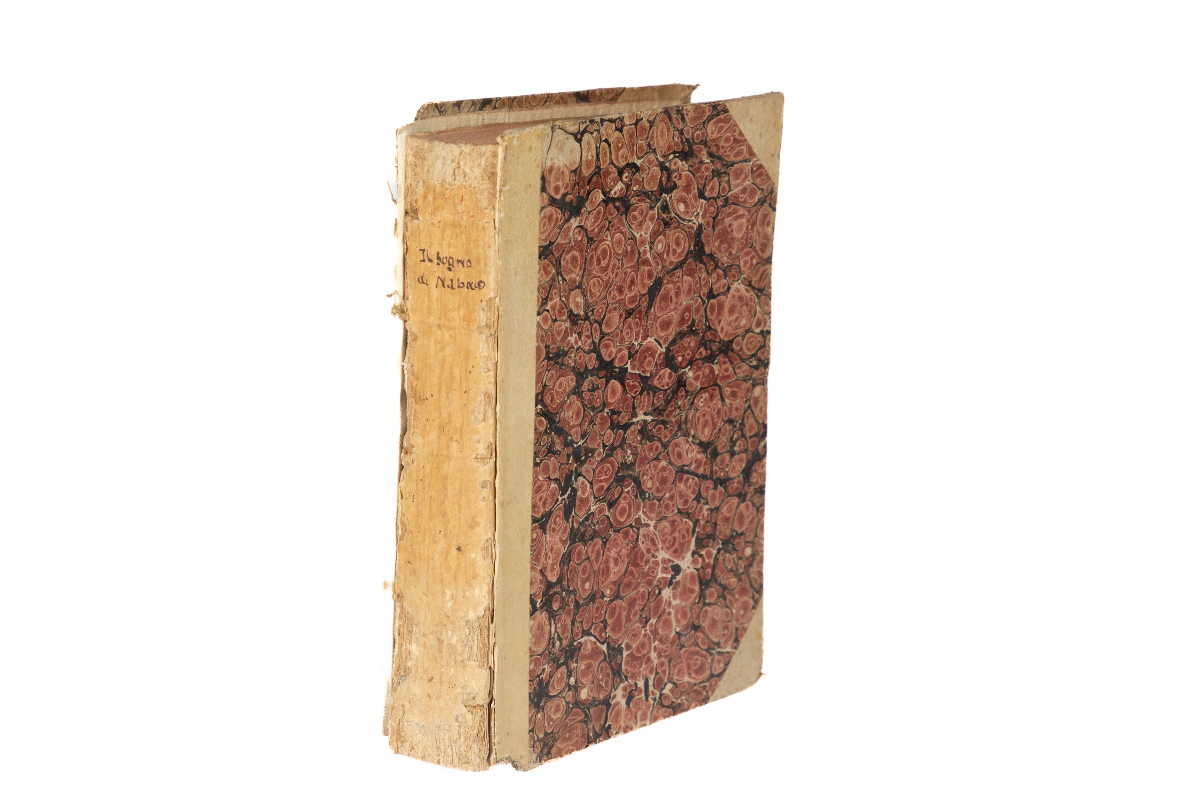 Il sogno di Nabucco spiegato in dodeci paradossi morali da fratʹAntonio Naccaria da città di Penn...