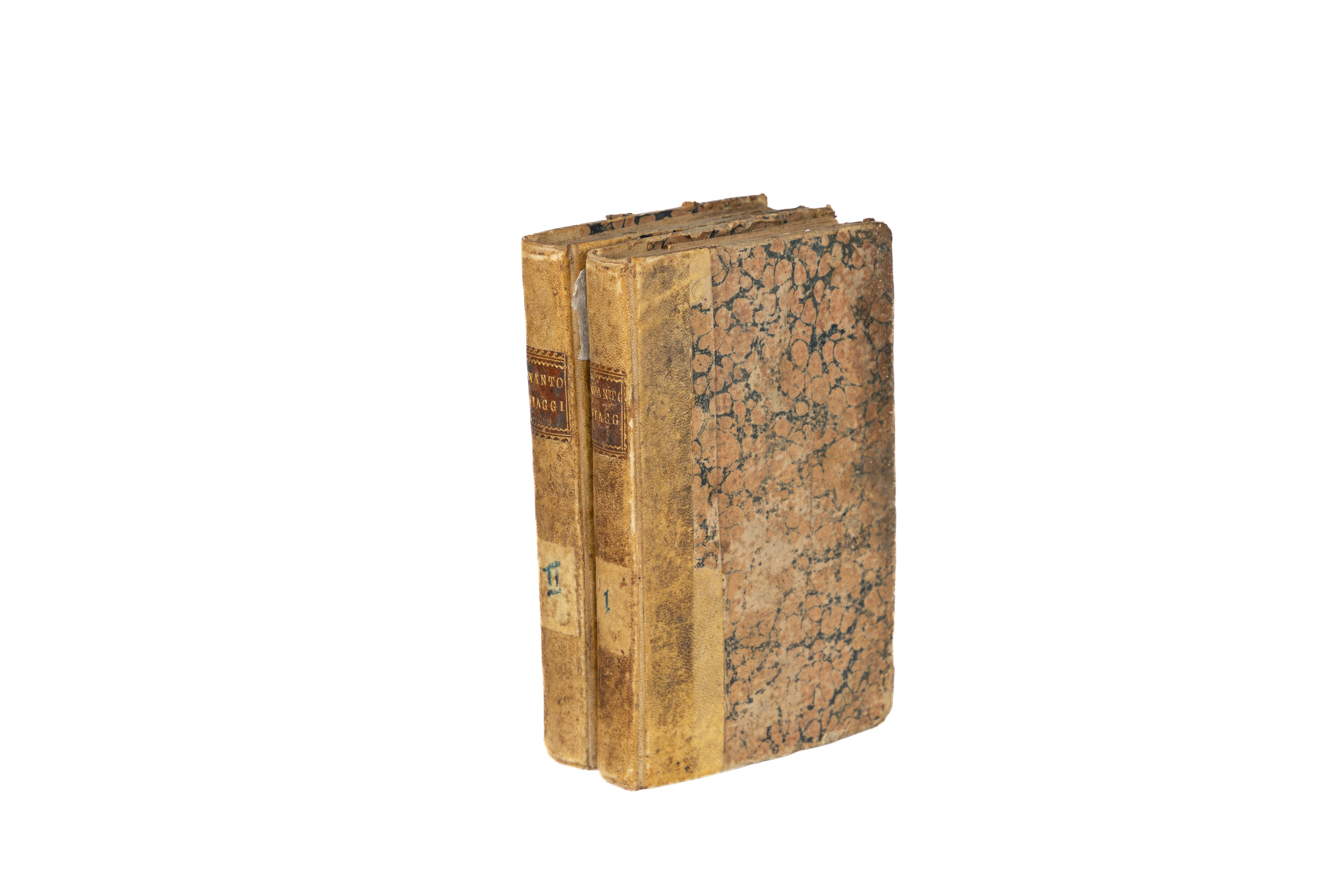 Viaggi di Enrico Wanton alle terre incognite australi, ed al paese delle scimie